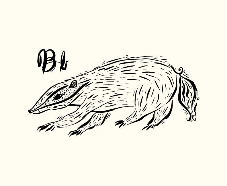 sumi ink animals for website banner-03.jpg
