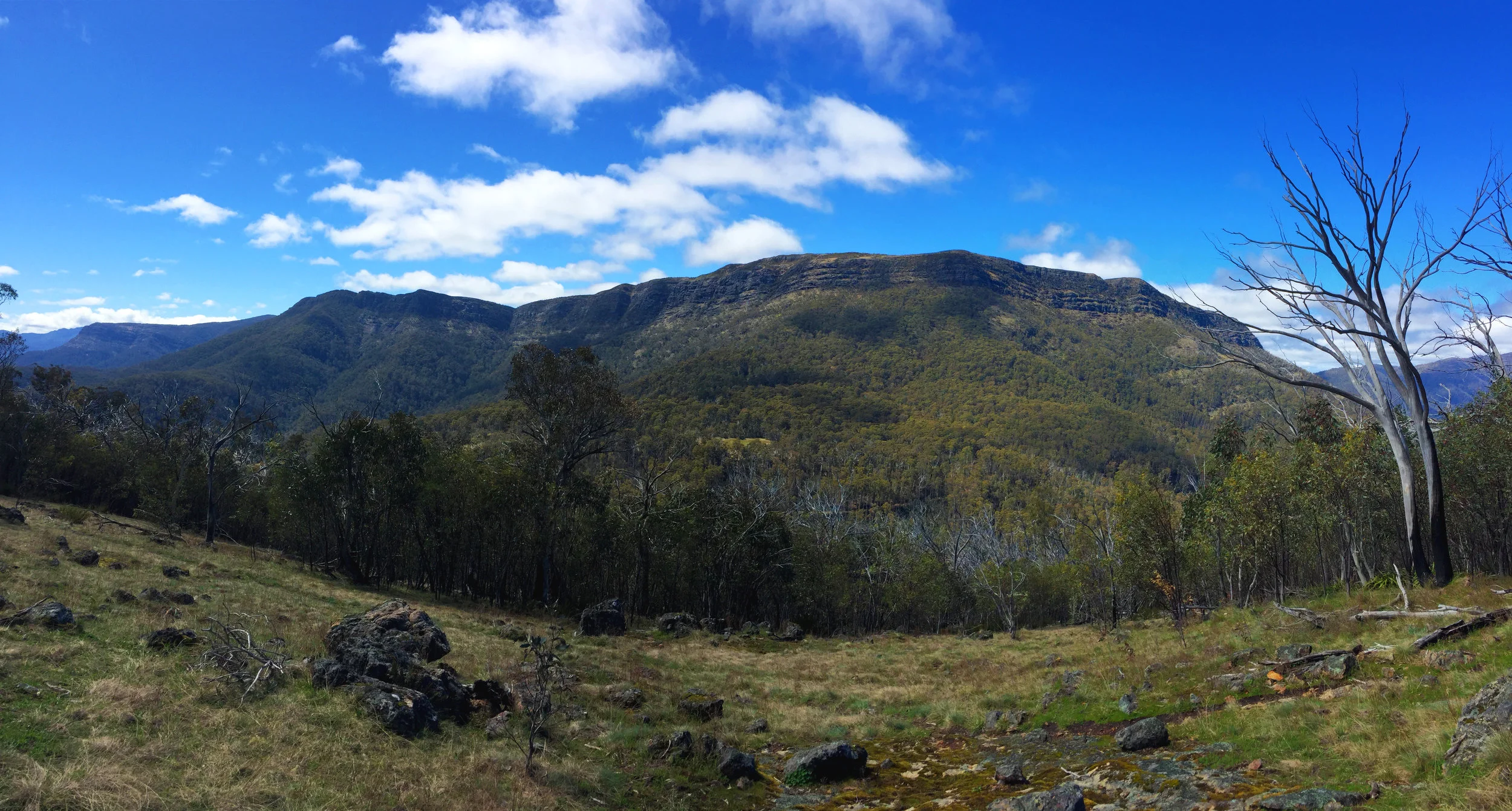 View of The Bluff from Rocky Ridge