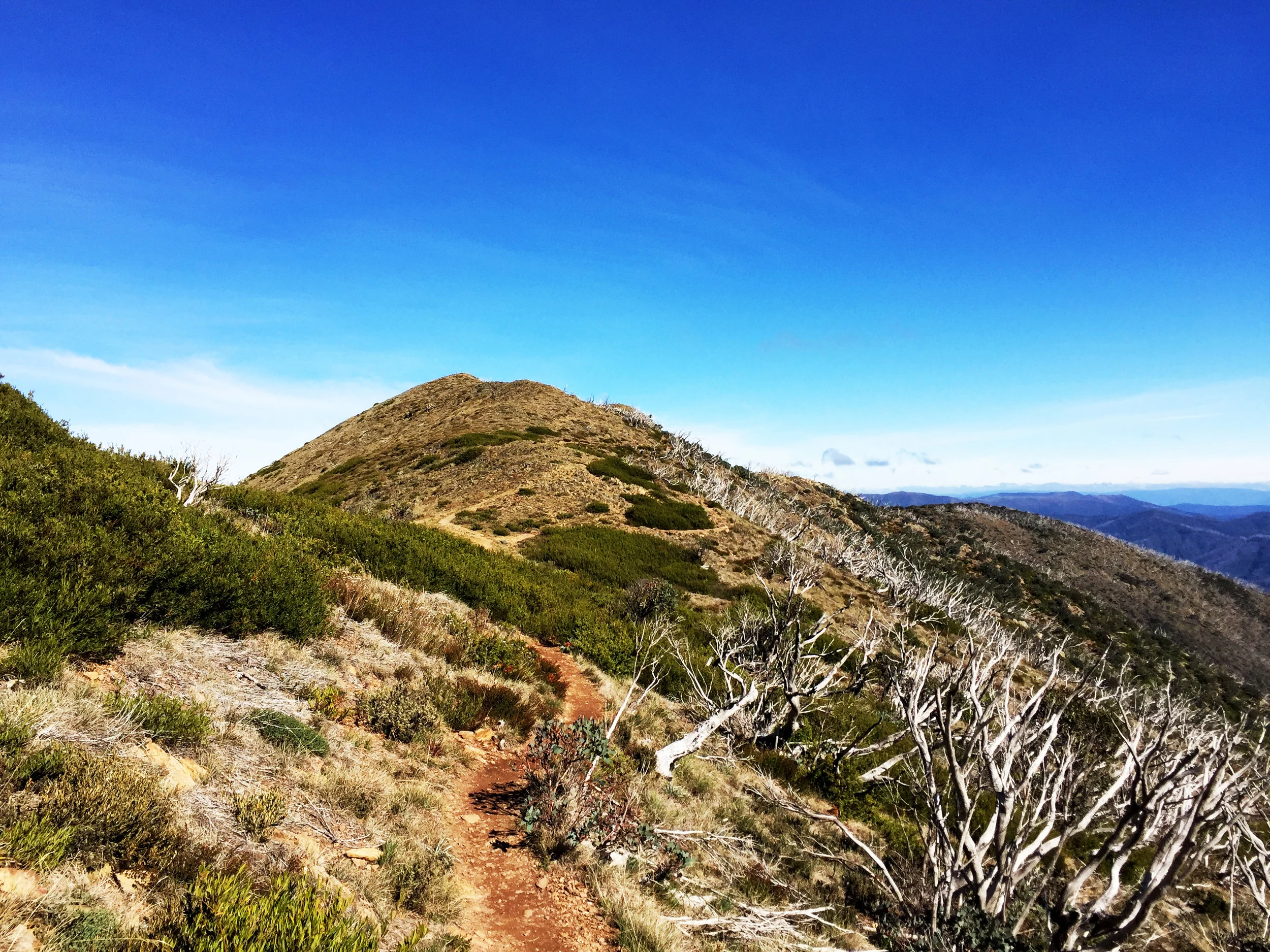 The trail along The Razorback