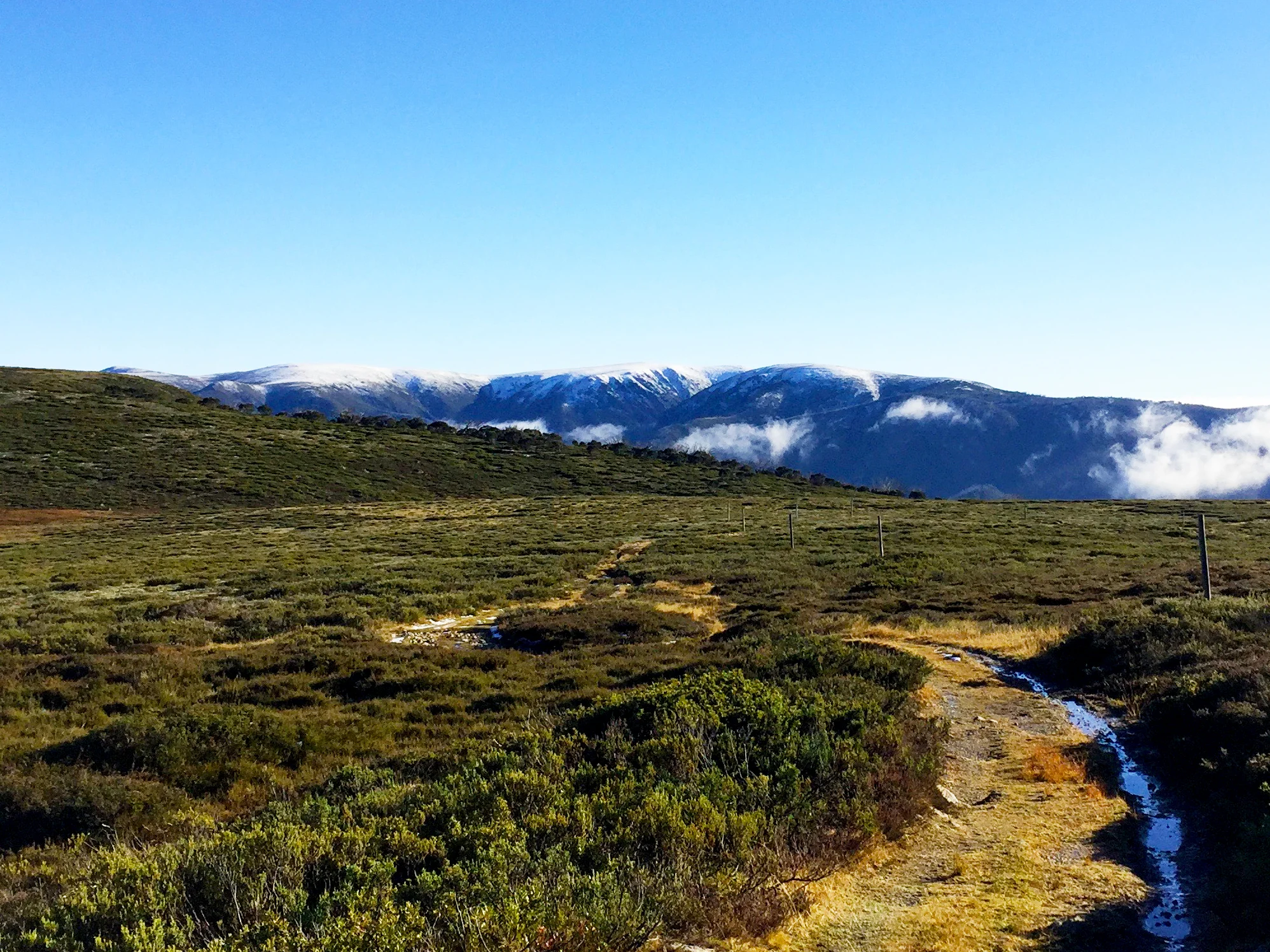 Falls Creek to Mount Bogong Circuit.jpg
