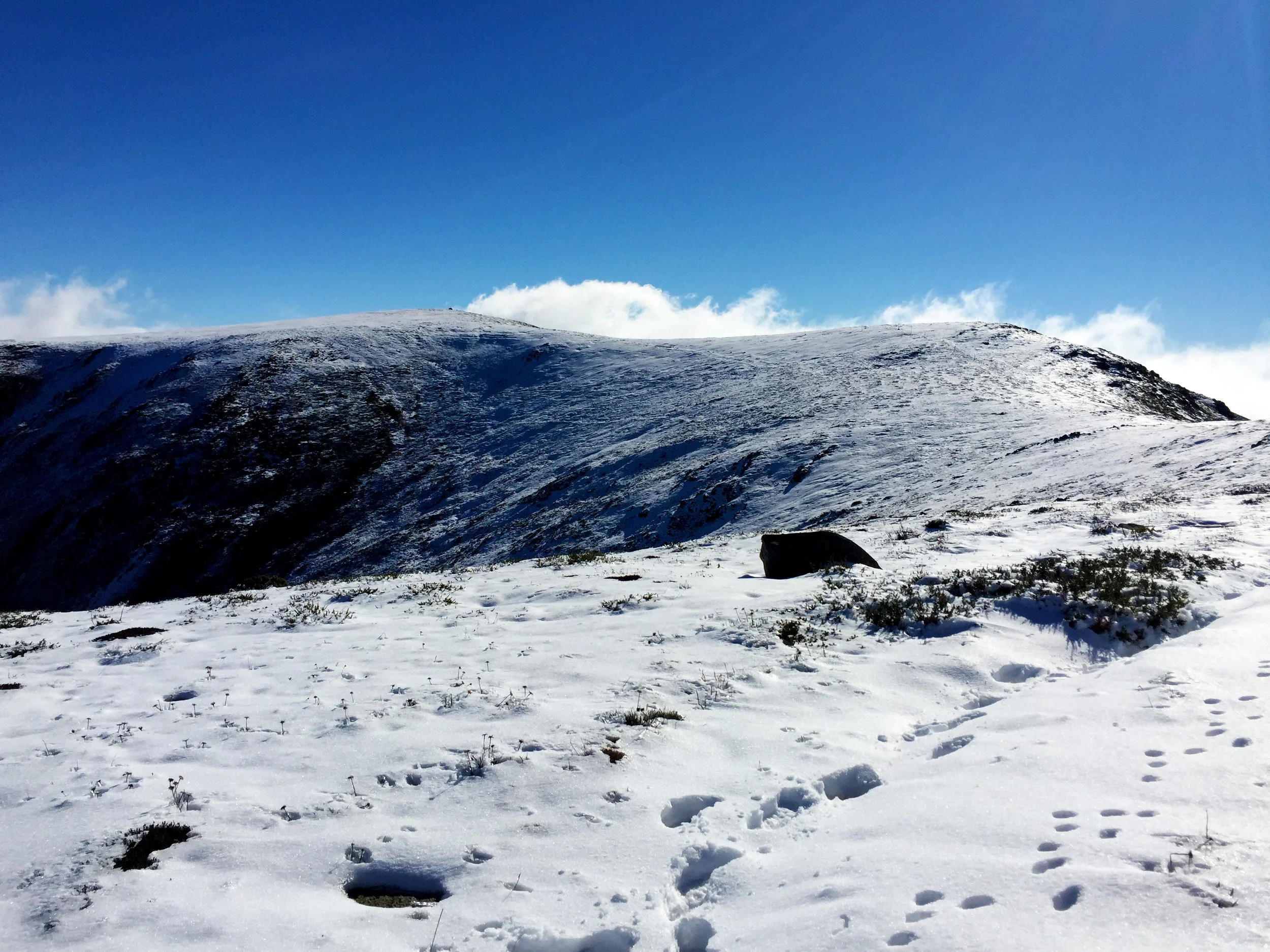Mount Bogong with an early snow cover - snowfalls like this can occur at any time of year