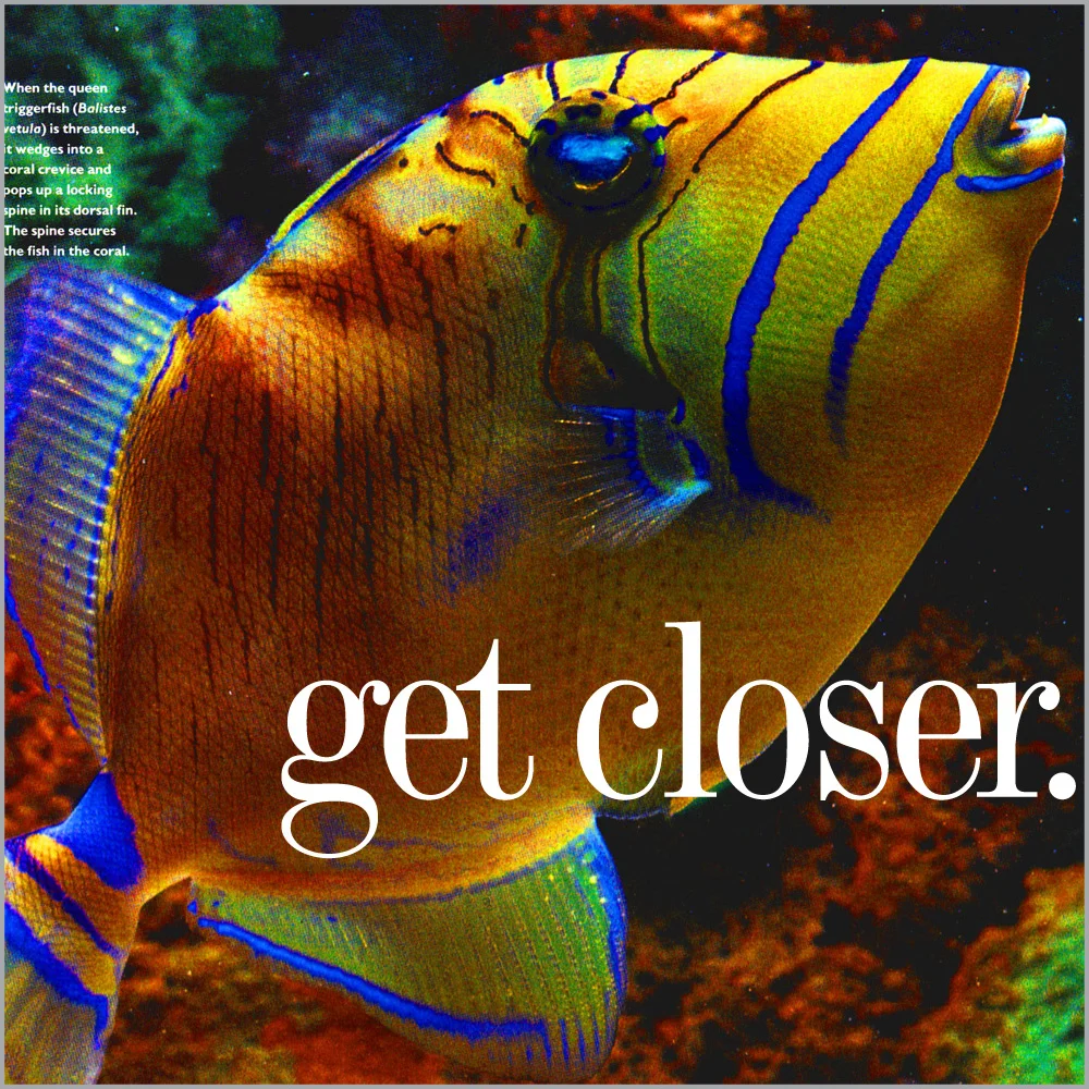 messagethumbs-shedd3.jpg