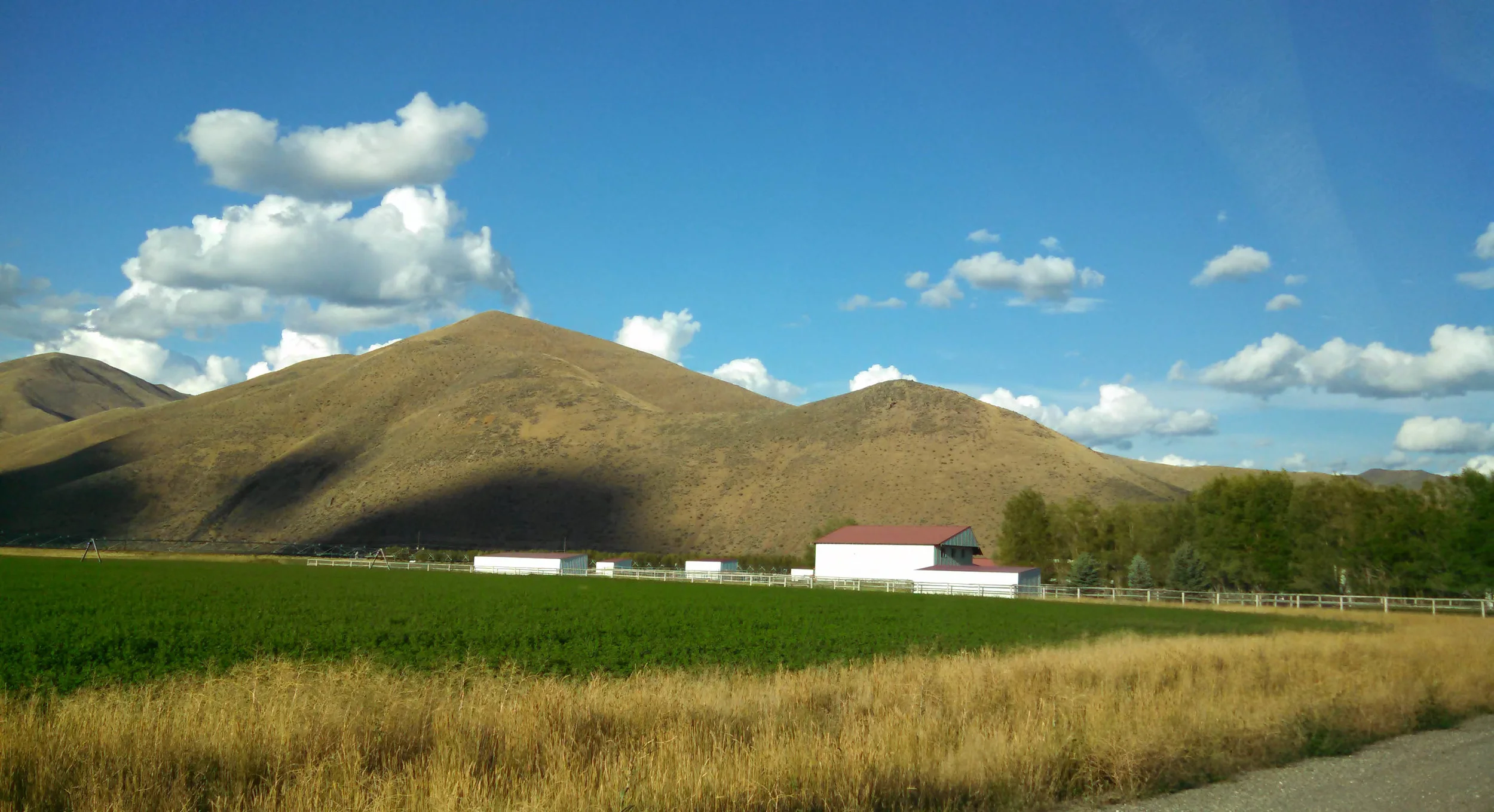 river sage.jpg