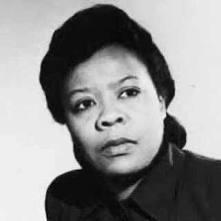 Day Seven of Twenty-Eight  American nurse Marie Van Brittan Brown was concerned about safety when she was home alone at odd hours of the day or night; the crime rate in her neighborhood in Queens, New York, had been increasing, and police response ti