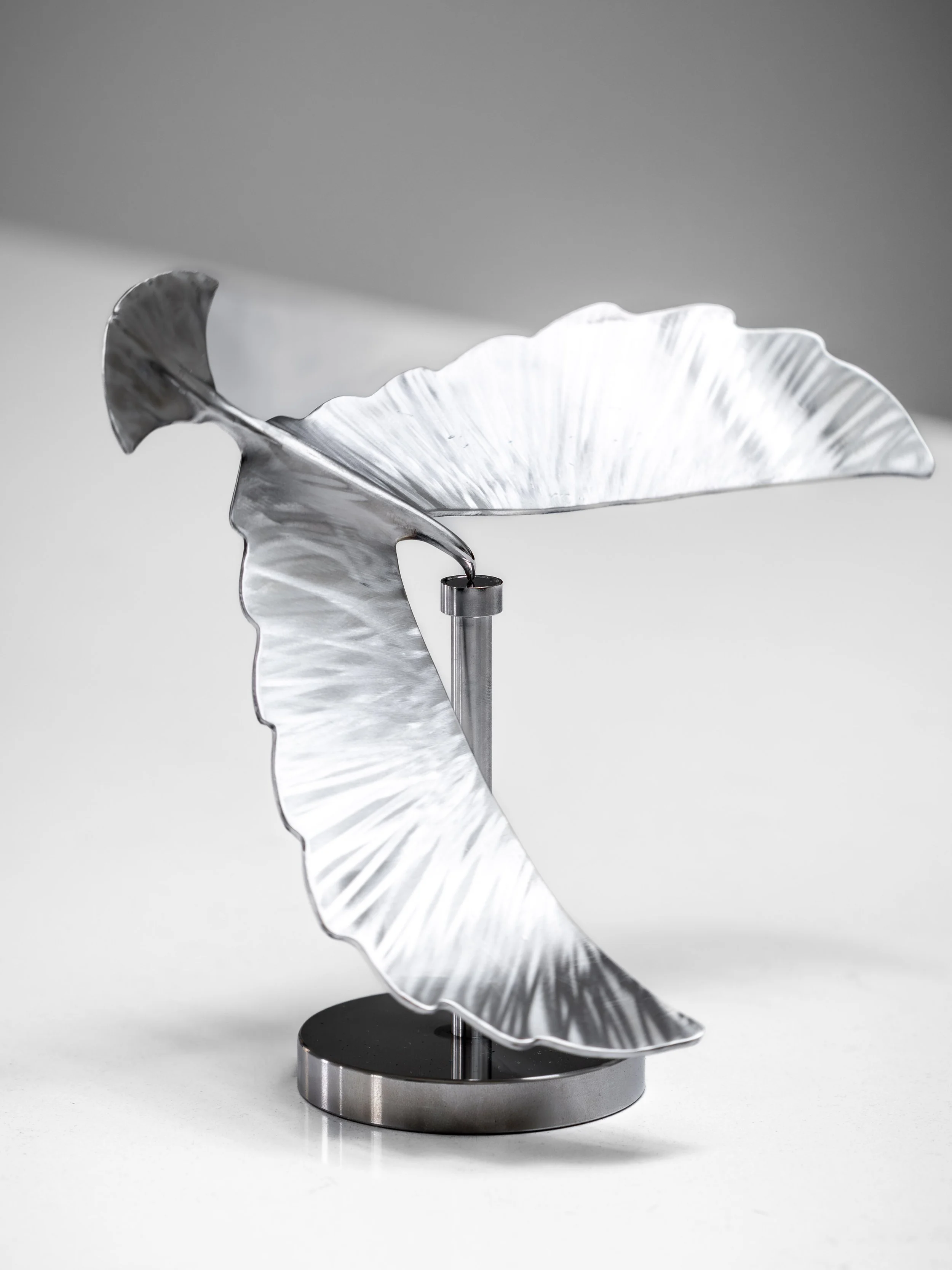Balancing Bird