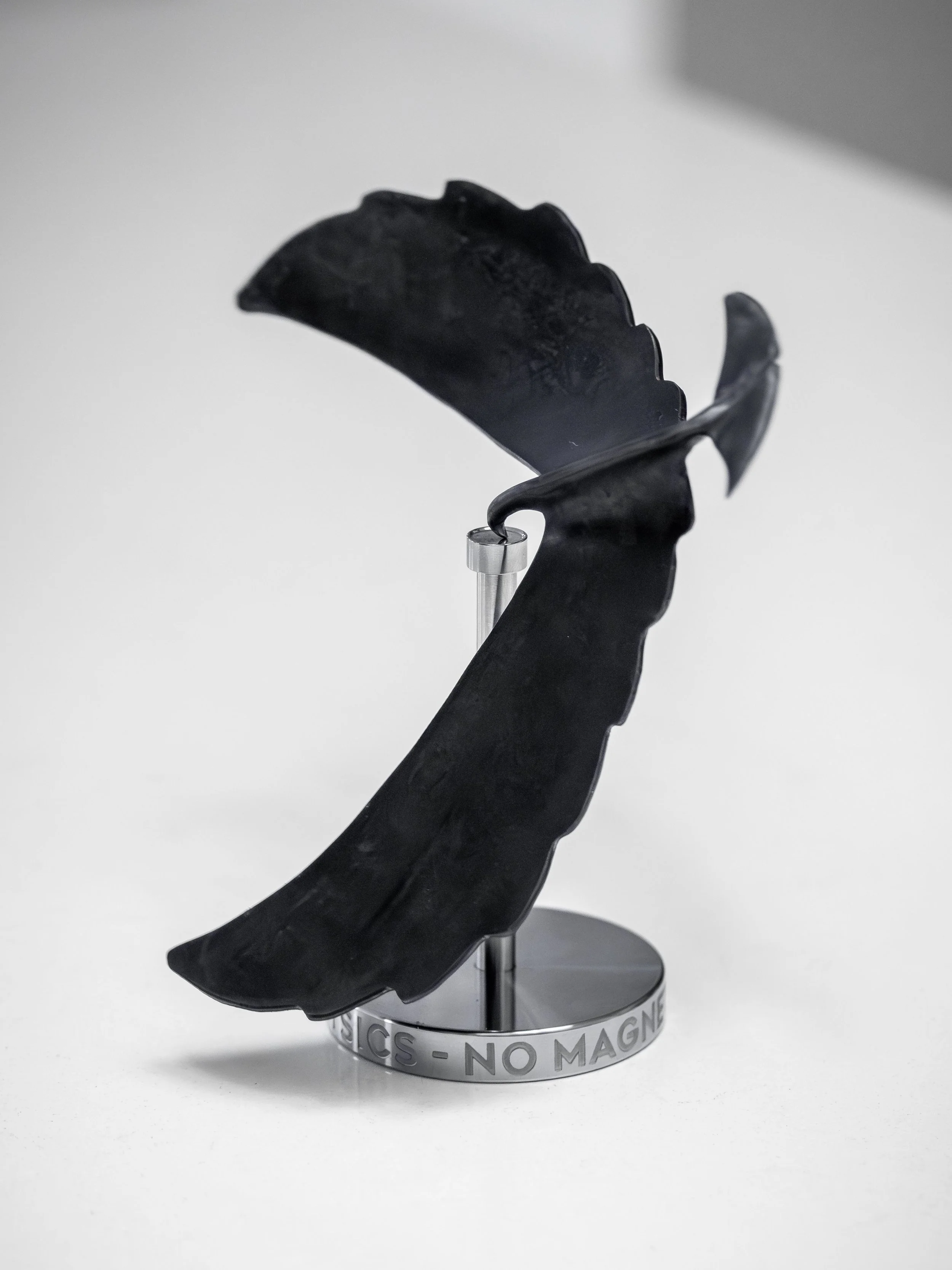 Black Raven-3.jpg