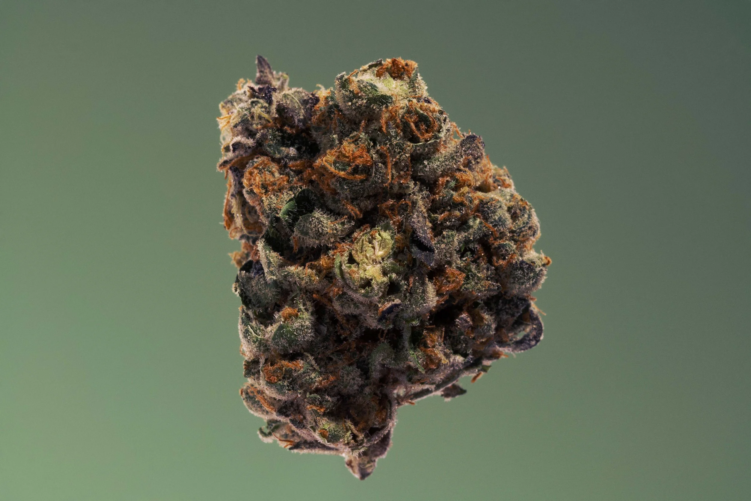 EMP04187-Edit copy.jpg