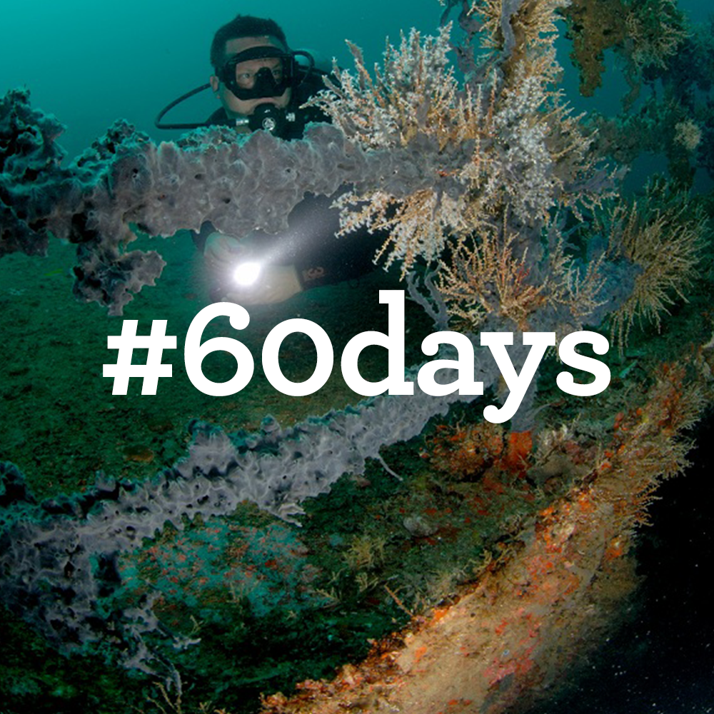 #60days-avatar8.png