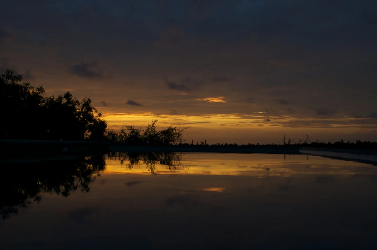 atardecer alberca.jpg