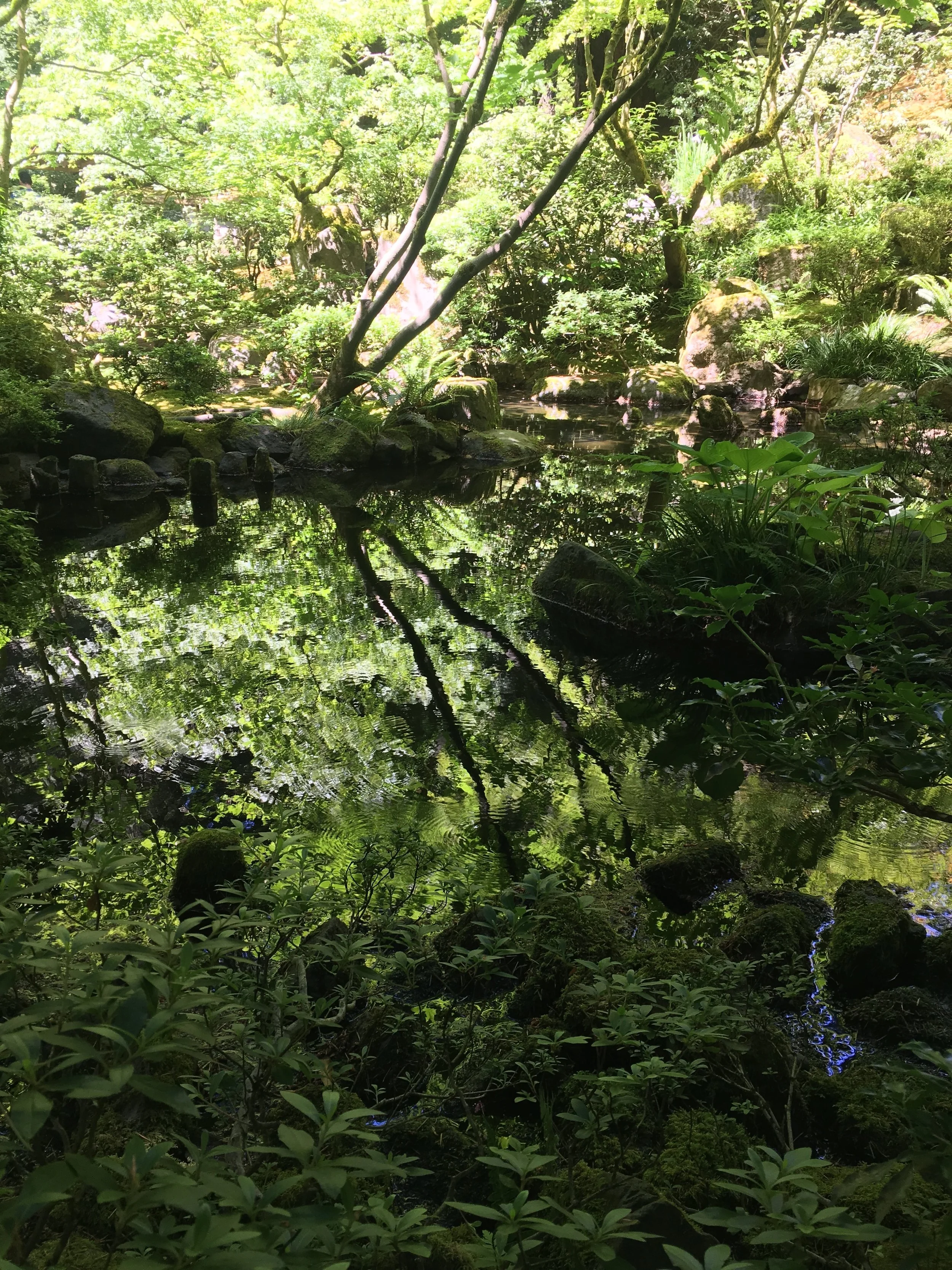 Cultural Village - Portland Japanese Garden
