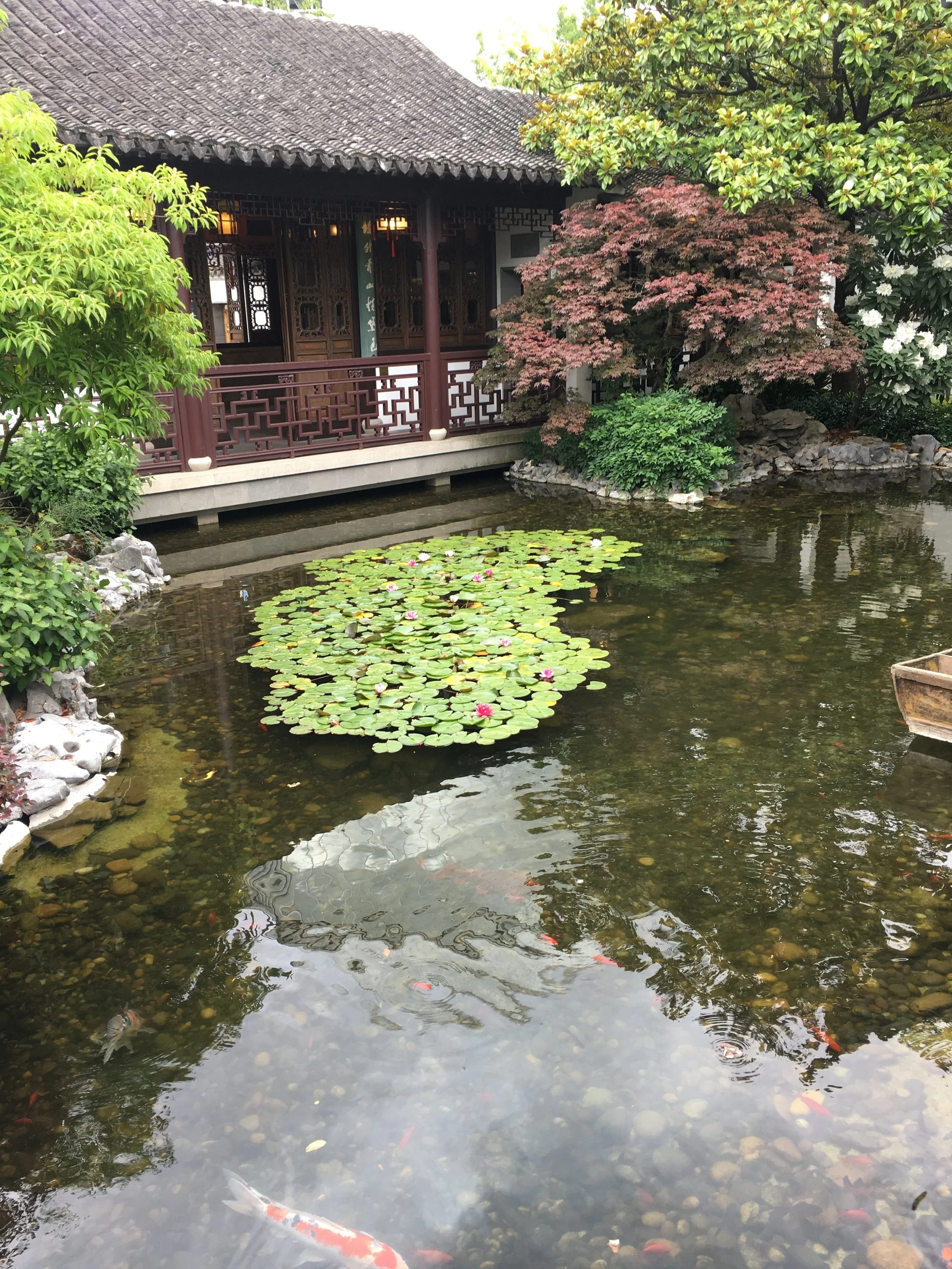 Lan Su Chinese Garden in Portland Chinatown.  Probably the most authentic Chinese garden in the states I ever seen.