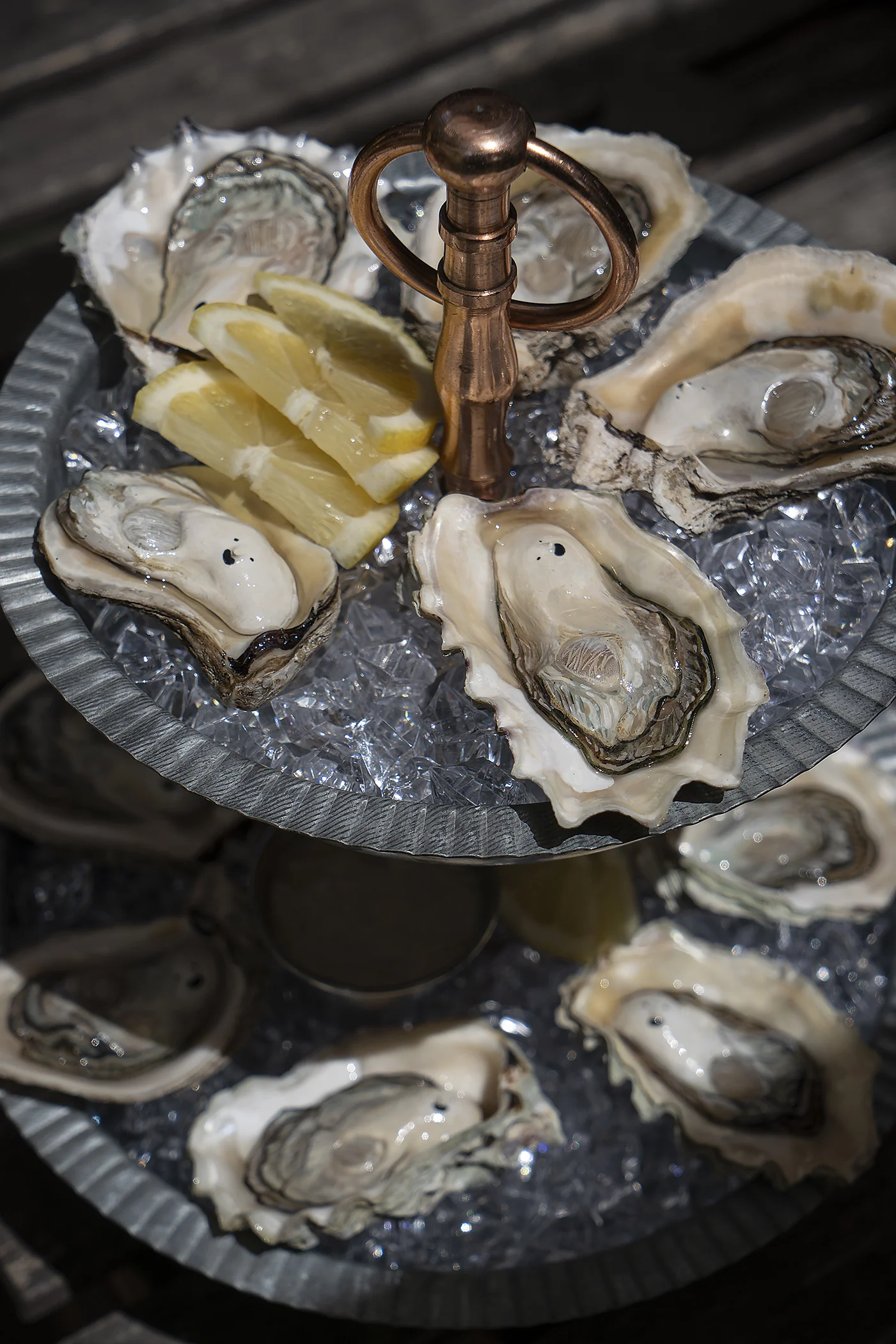 oyster5_small.jpg