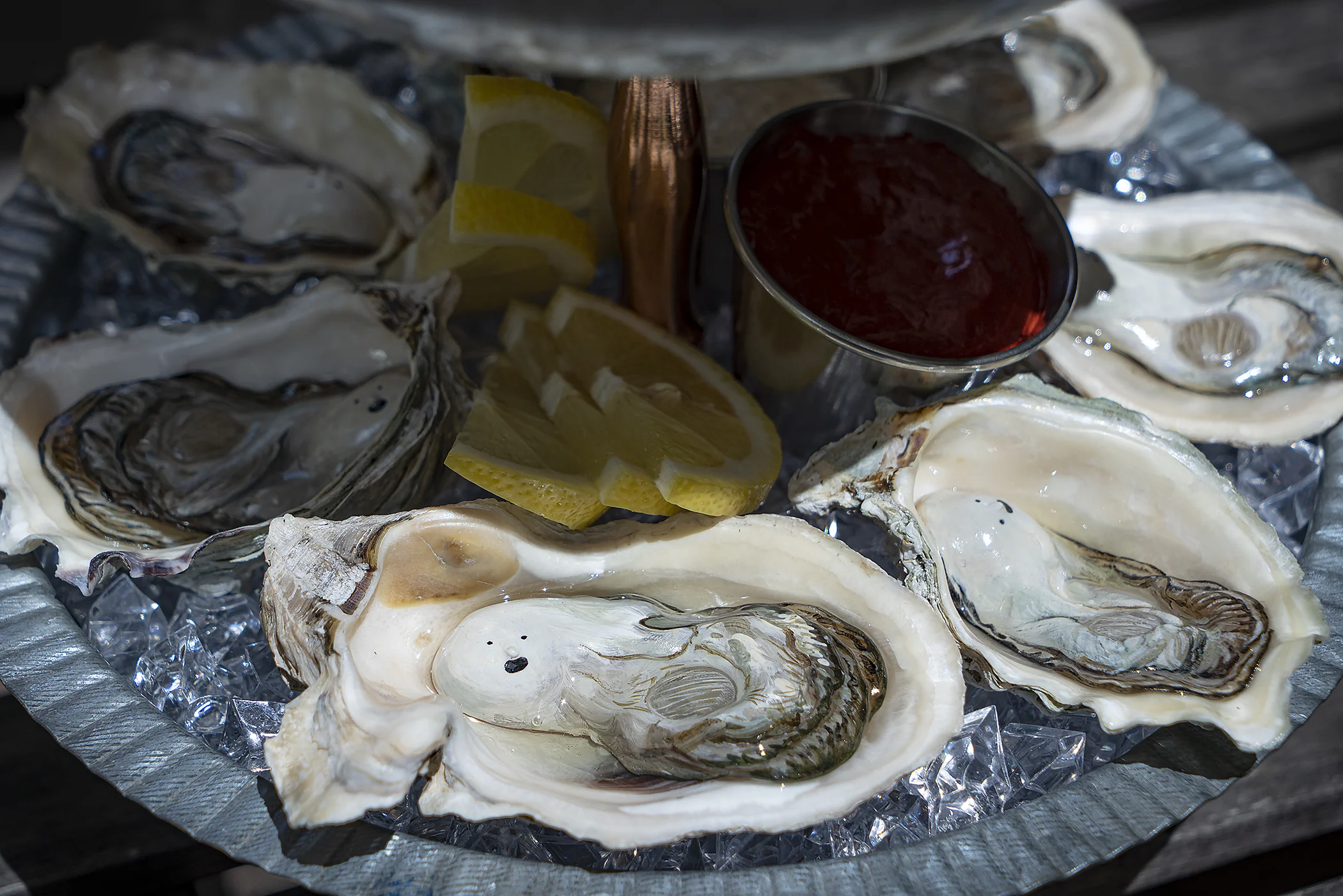 oyster6_small.jpg