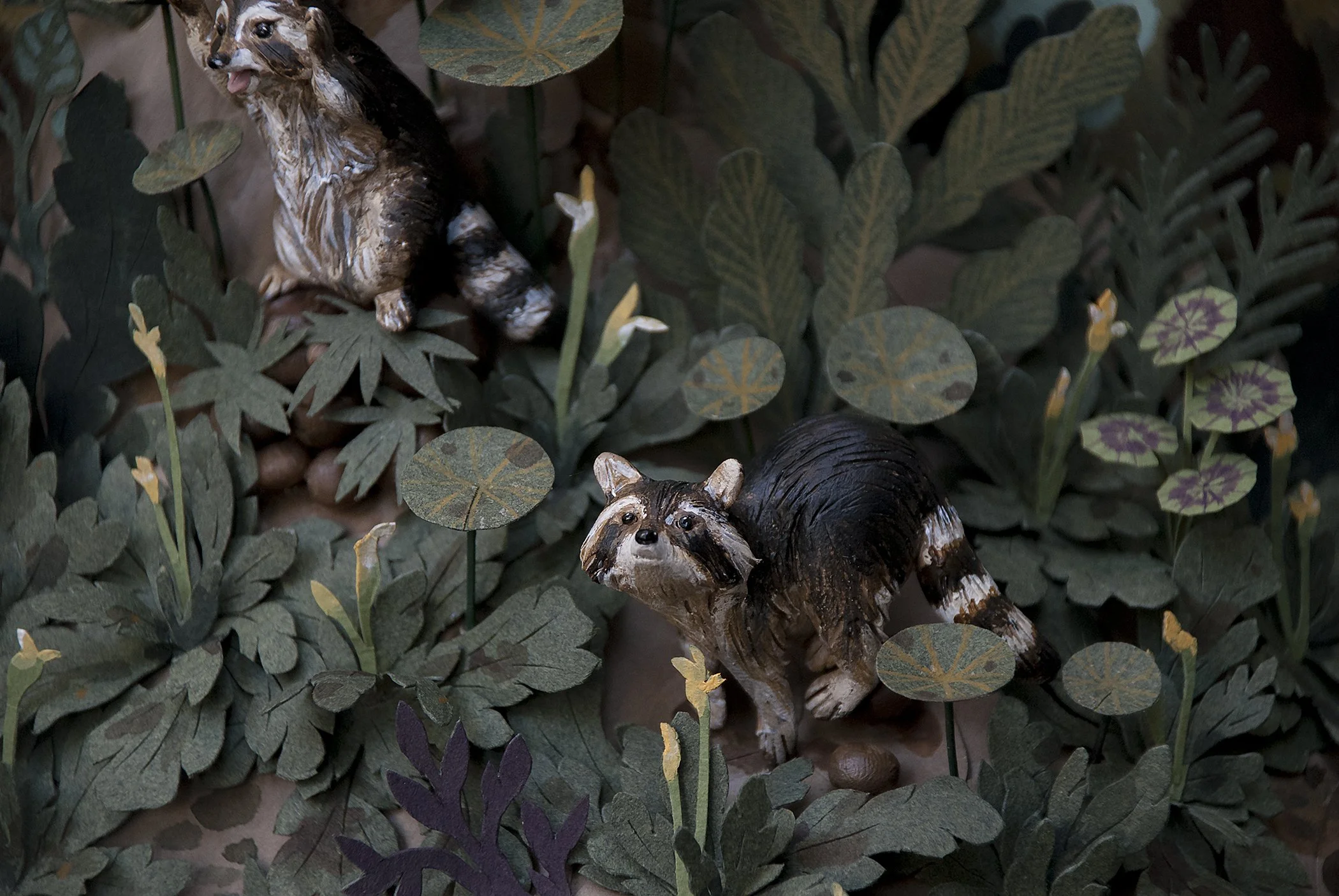35.Meet_the_Raccoons4_small.jpg