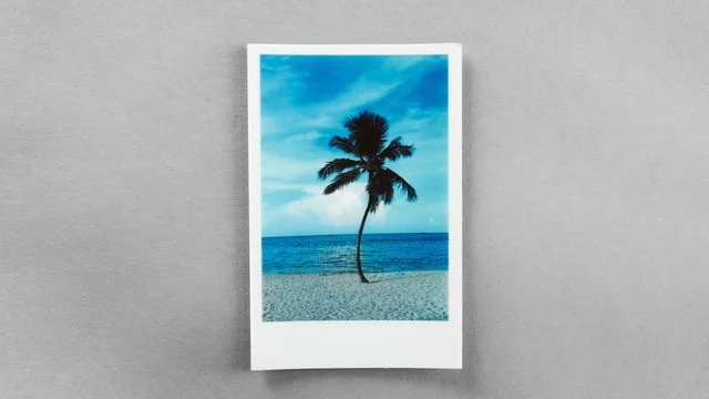 Autograph Hotels + Polaroid