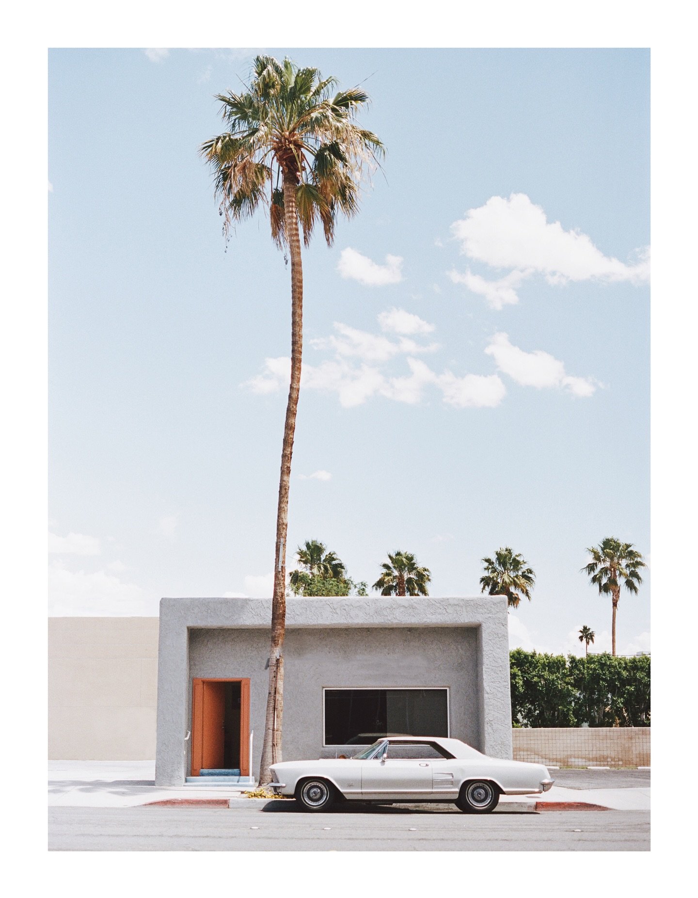 PALM SPRINGS 🌴