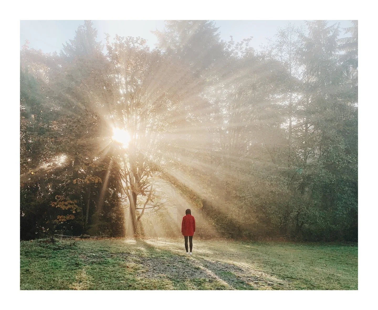 no greater love
life laid down

cost everything
sacrificial love

❤️