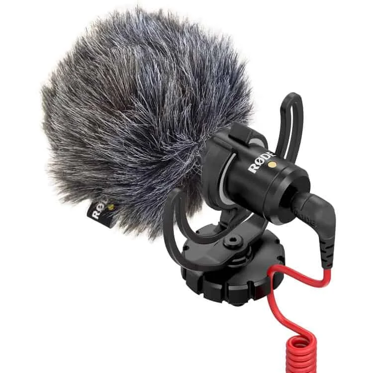 videomicro2.jpg
