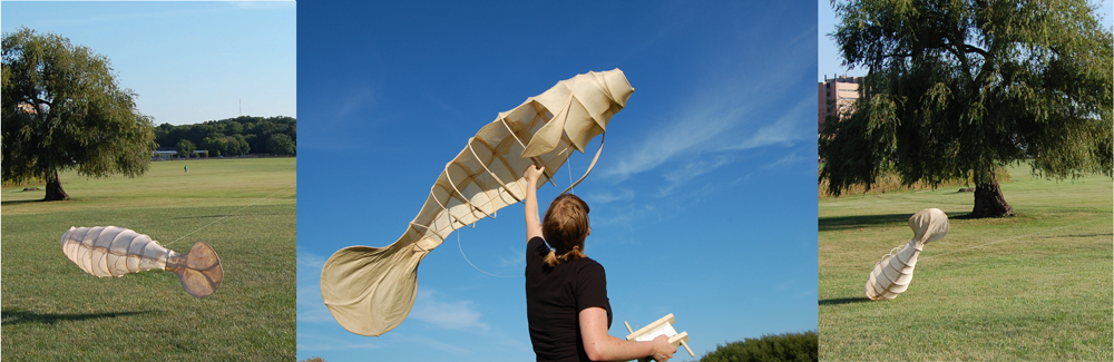 Test flights reveal an unfortunate maximum altitude of one meter.