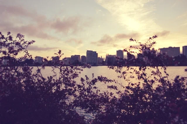 Calling all Revolutionaries