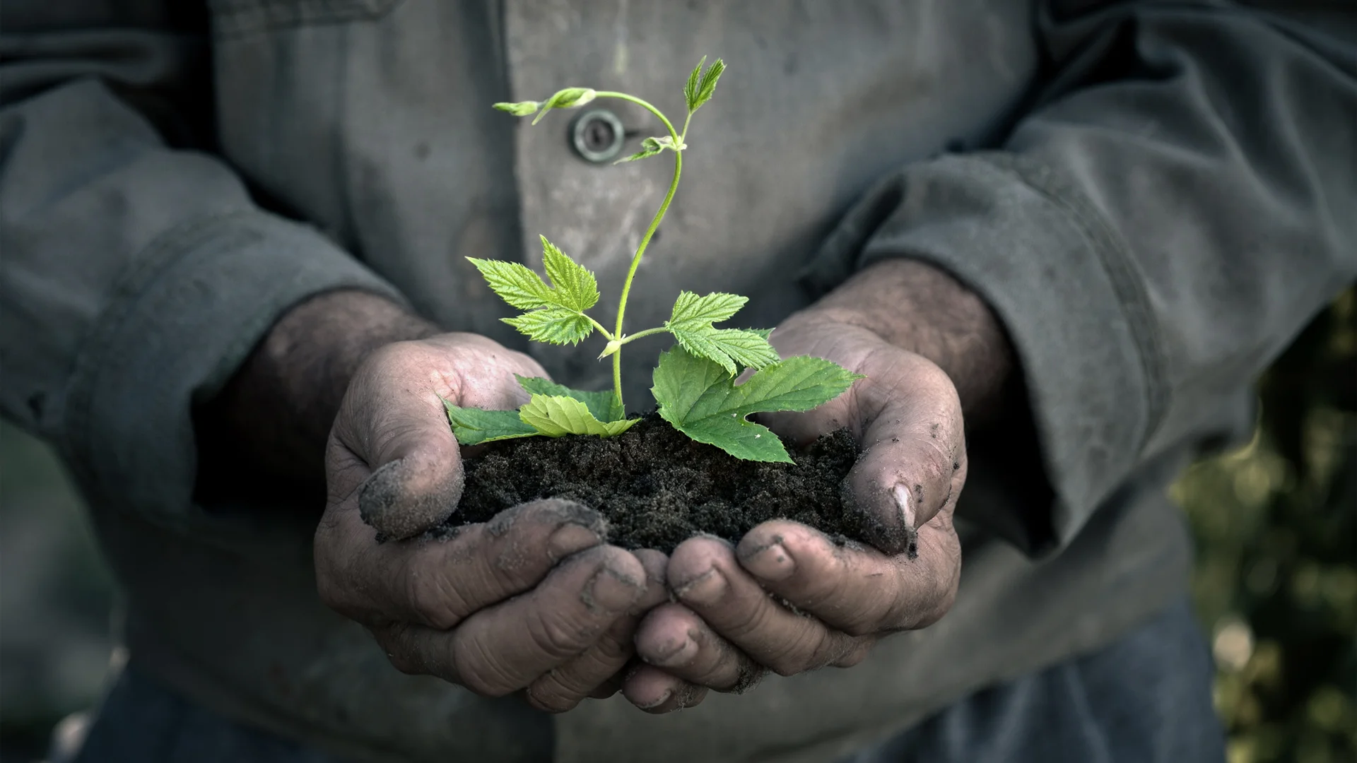 Lyrical Opps / Oak Life: Beautiful Mess