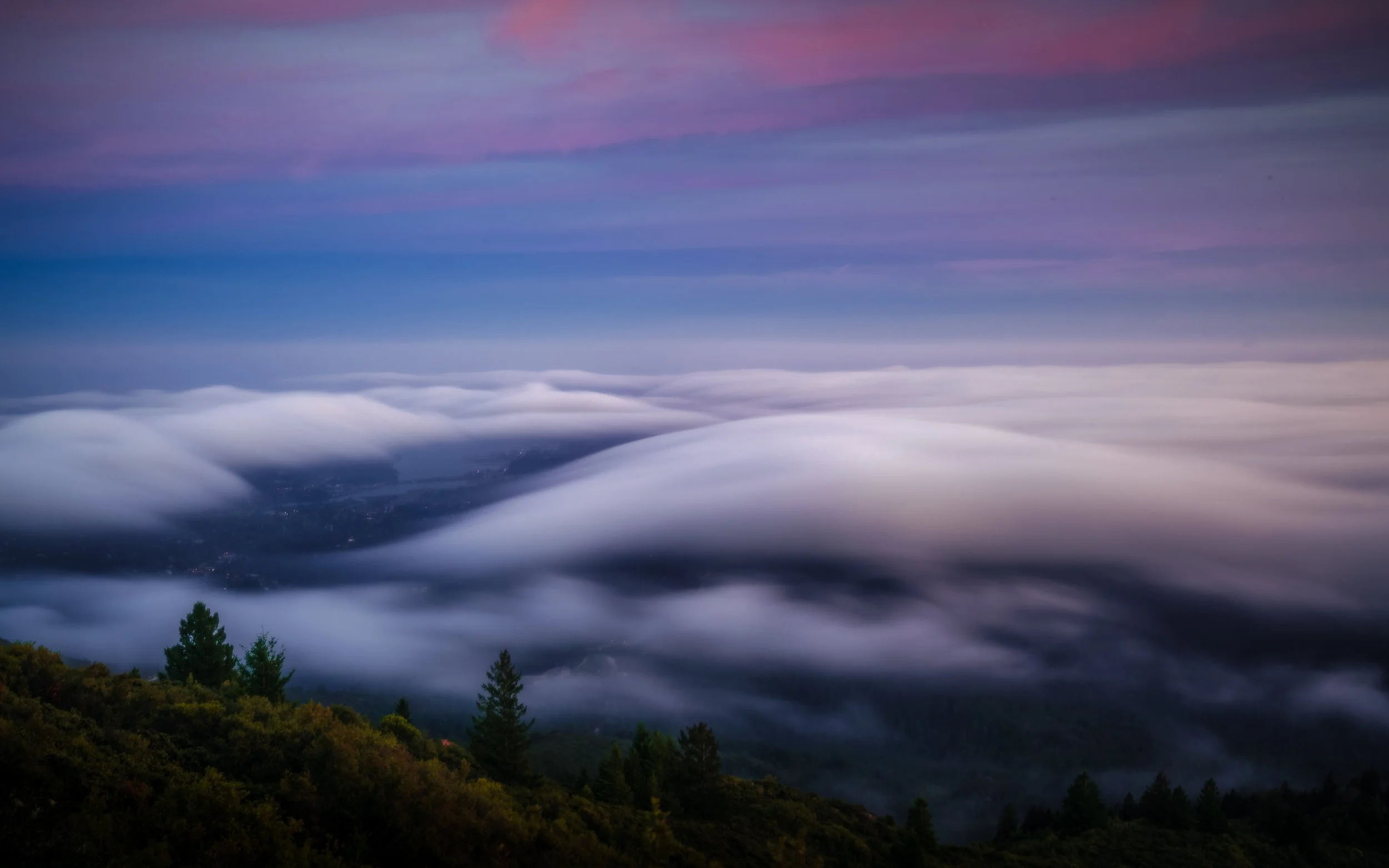 DSC02876-Edit (1).jpg