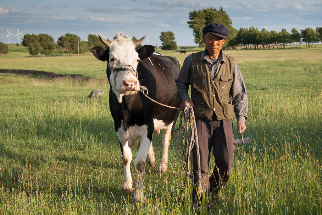 Tethering the family cow
