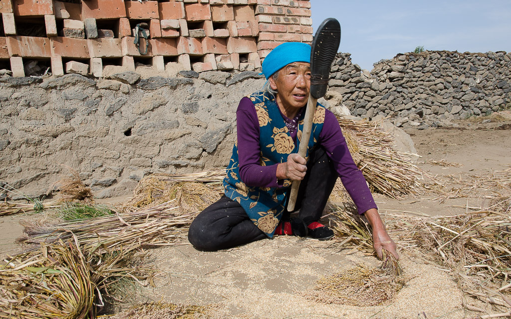 Hand-threshing millet to make a millet stalk broom