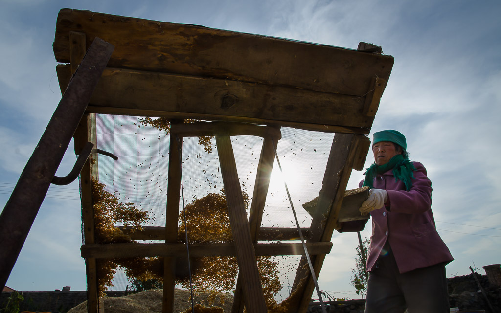 Using a slanted screen to remove more chaff