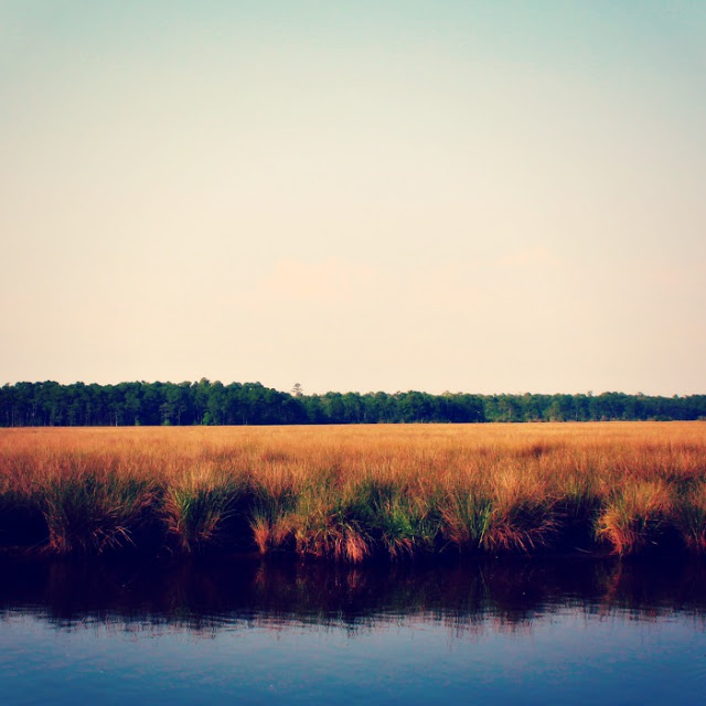 horizon+%28smaller%29.jpg
