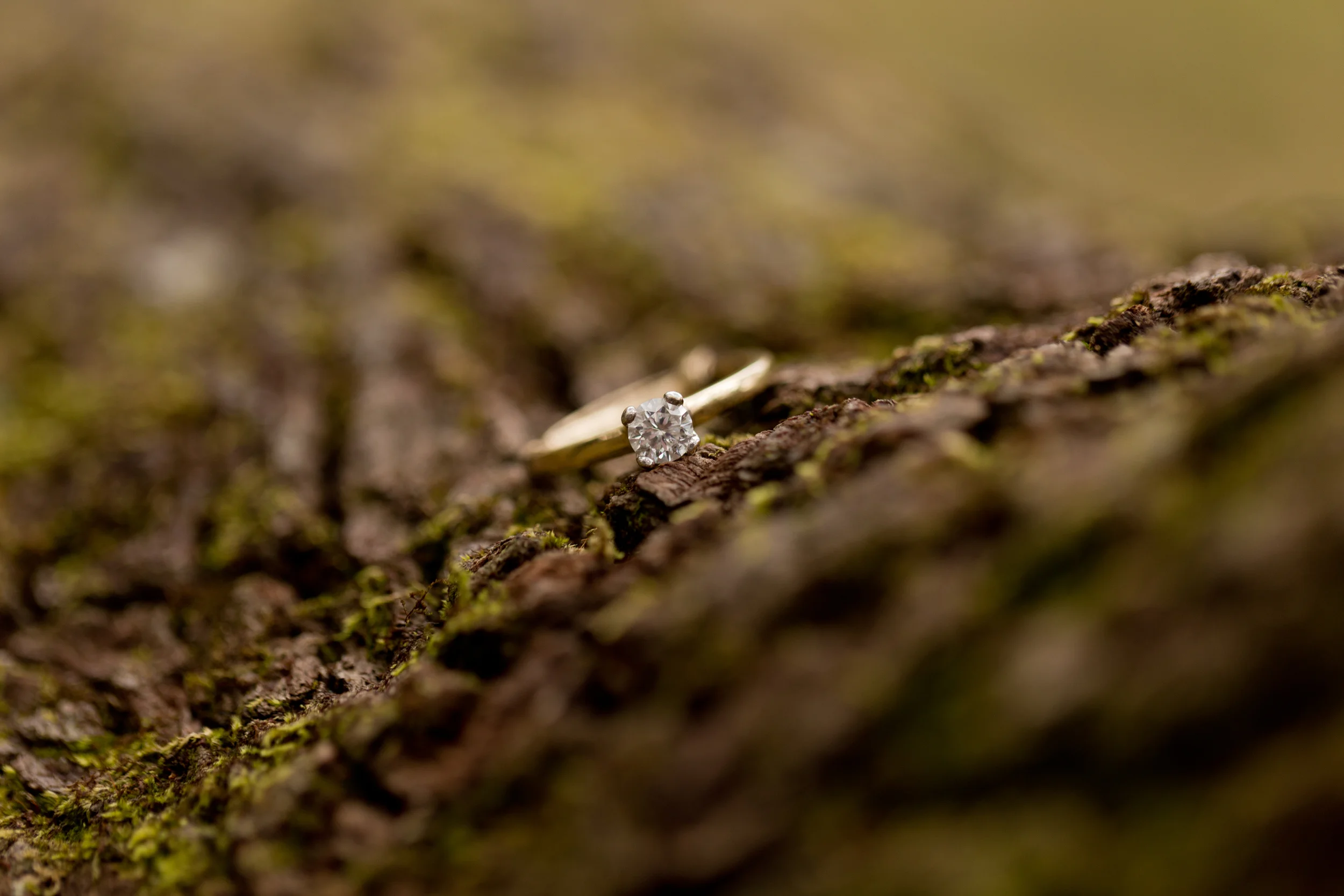 diamond engagement ring on tree bark (Uninvented Colors Photography)