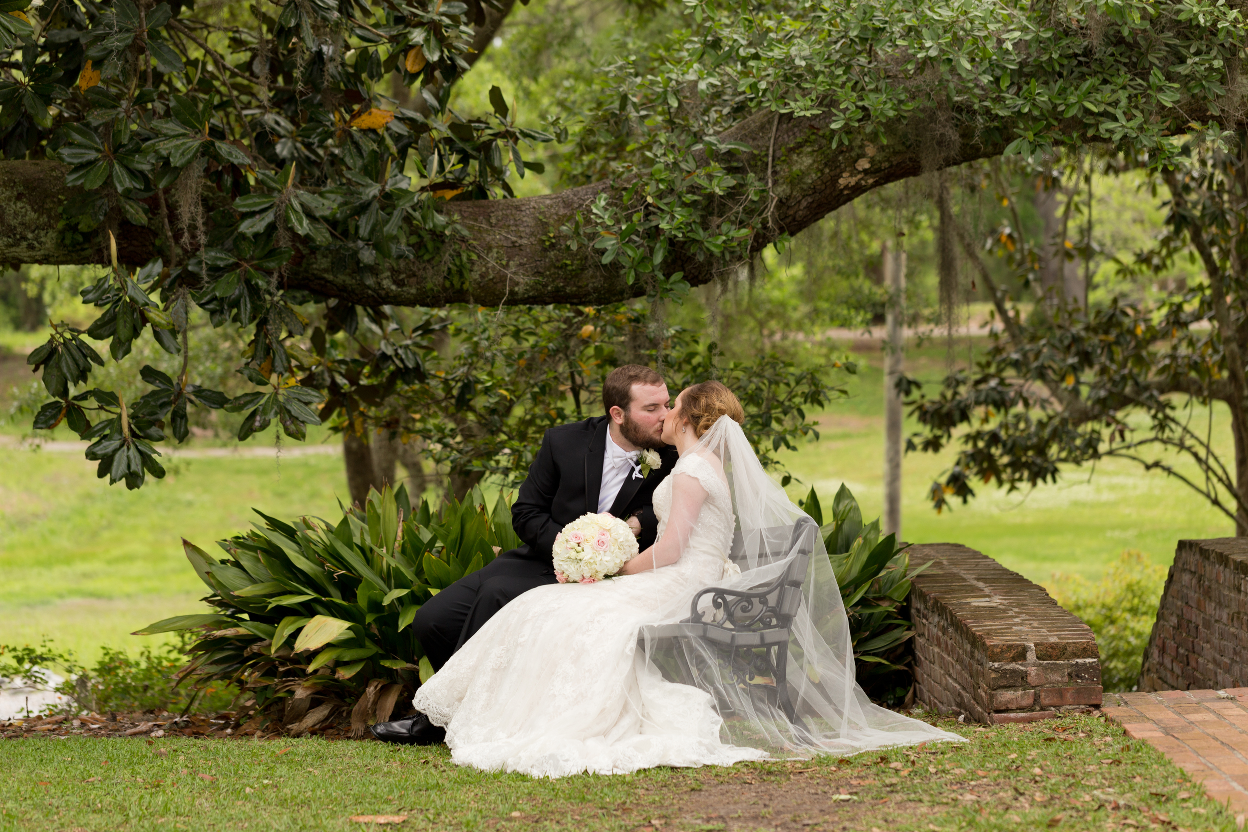 beautiful wedding photo with bride and groom kissing on bench with magnolia and live oak tree at First Presbyterian Church Ocean Springs (Uninvented Colors Photography)