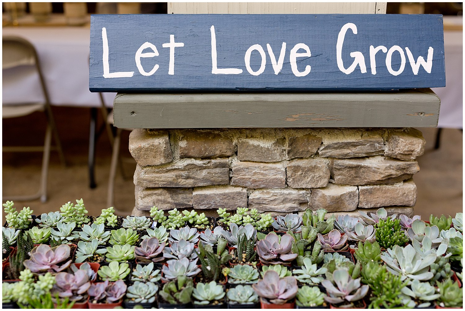 Let Love Grow sign with succulents - wedding favor ideas