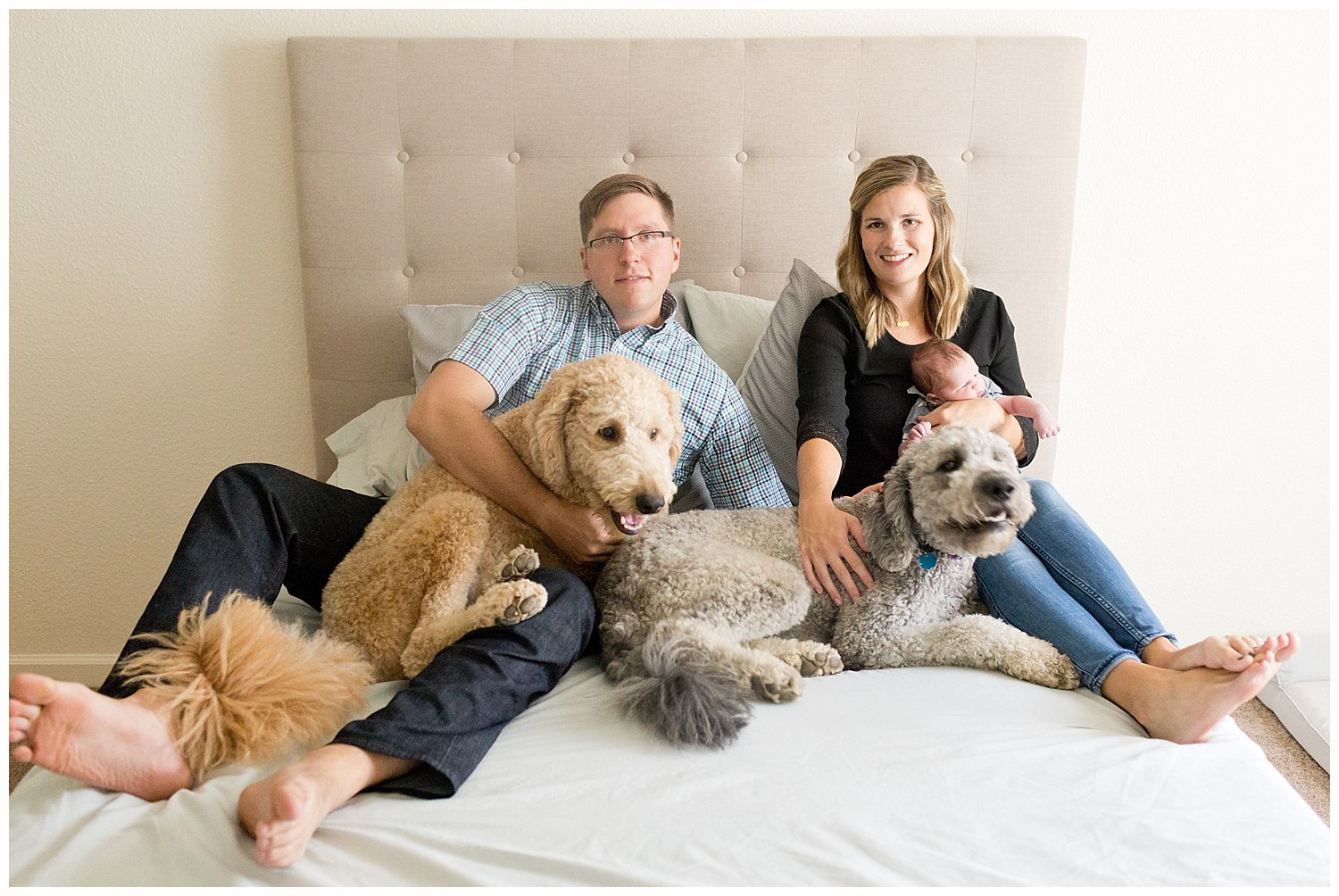 family photo with two big dogs and new baby boy on parents' bed