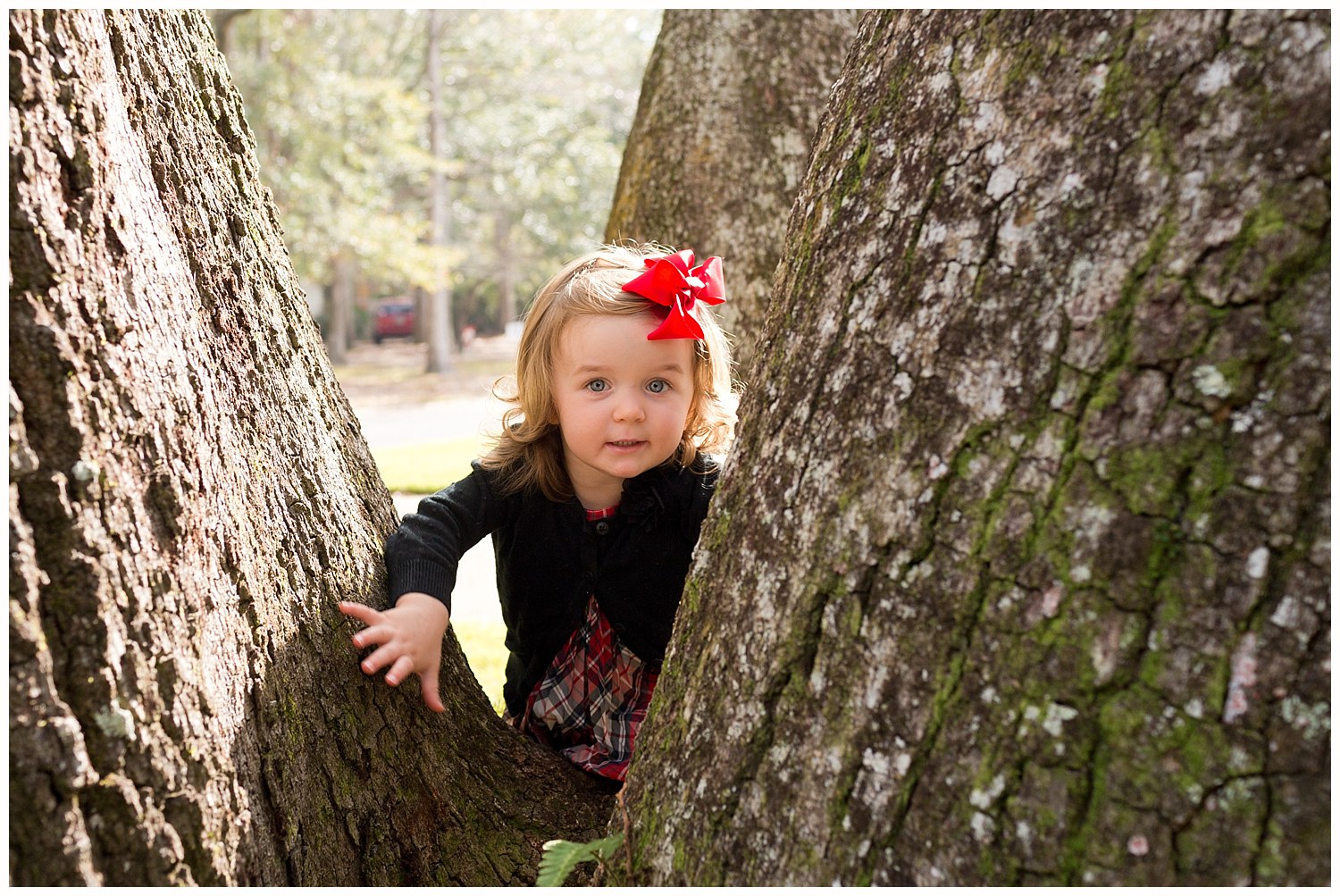 toddler girl playing on live oak tree in Sunday best