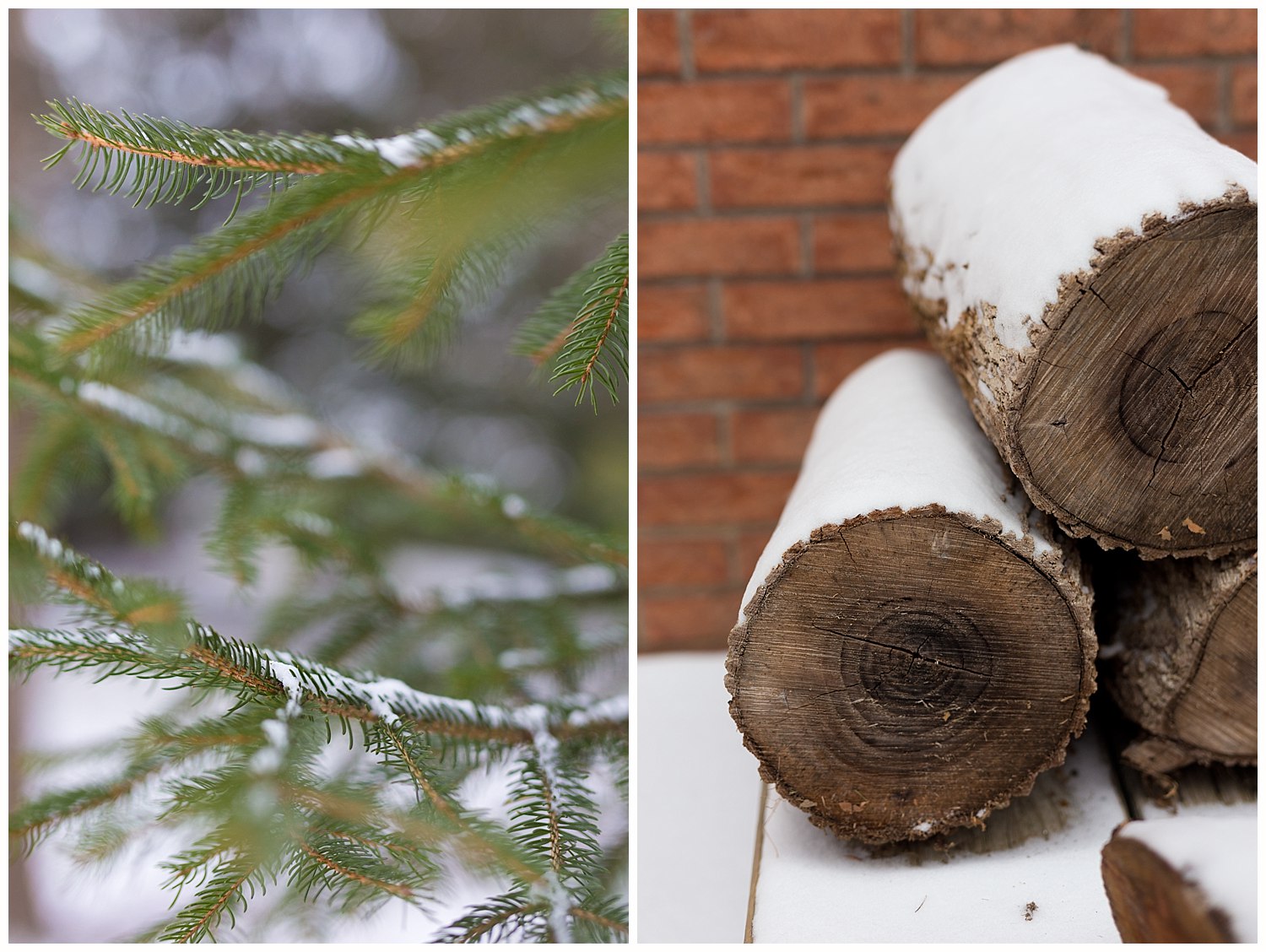 snow on firewood and pine tree branches