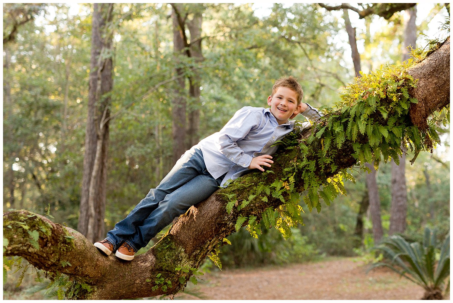 cute picture of tween boy climbing tree