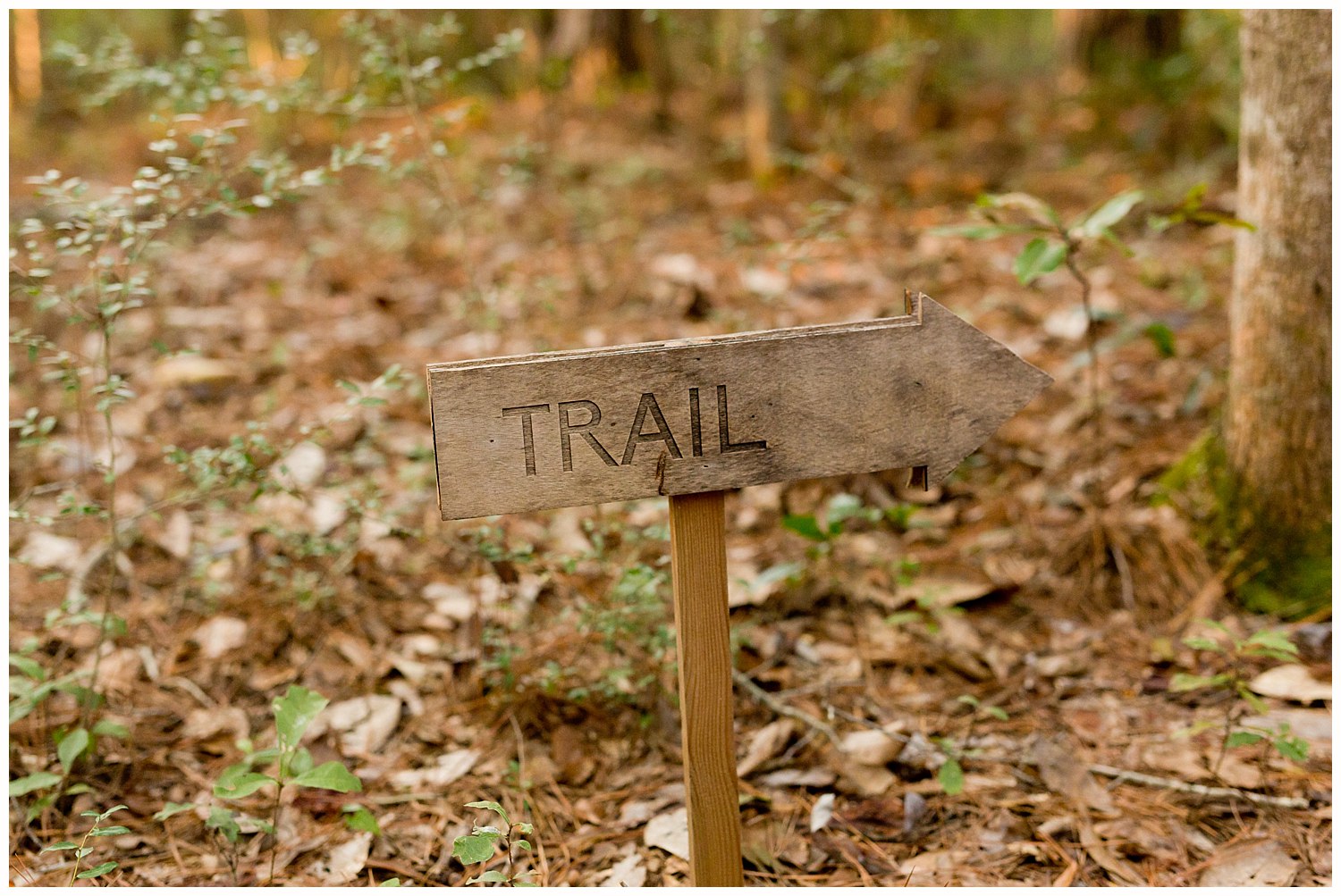 trail sign at 12 Oaks, Ocean Springs
