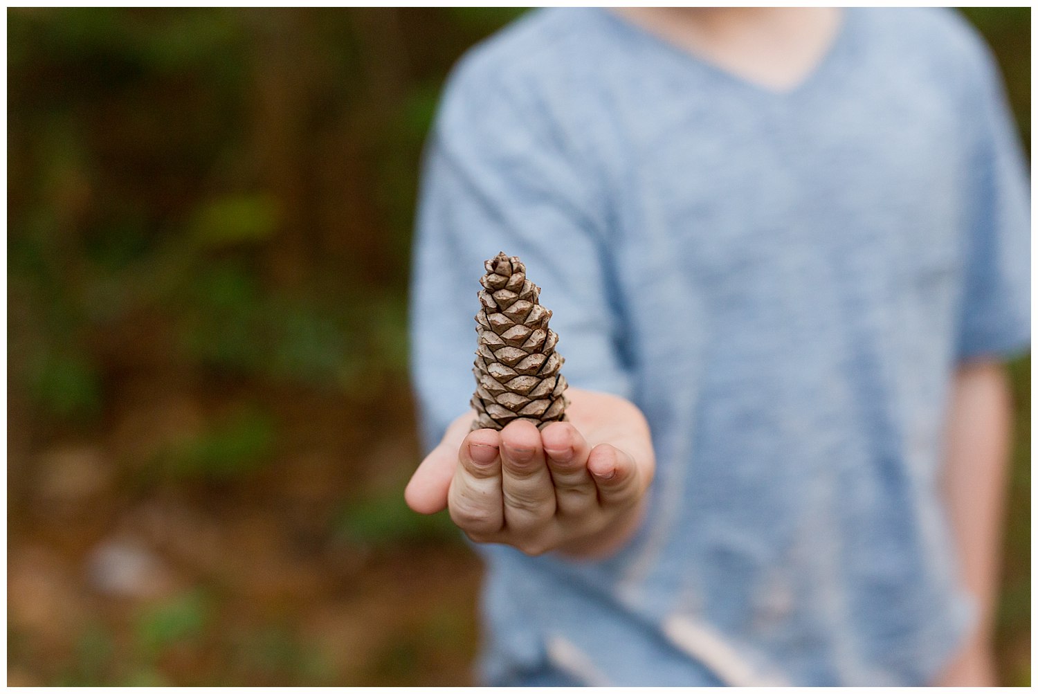 woodsy photo of boy holding pine cone