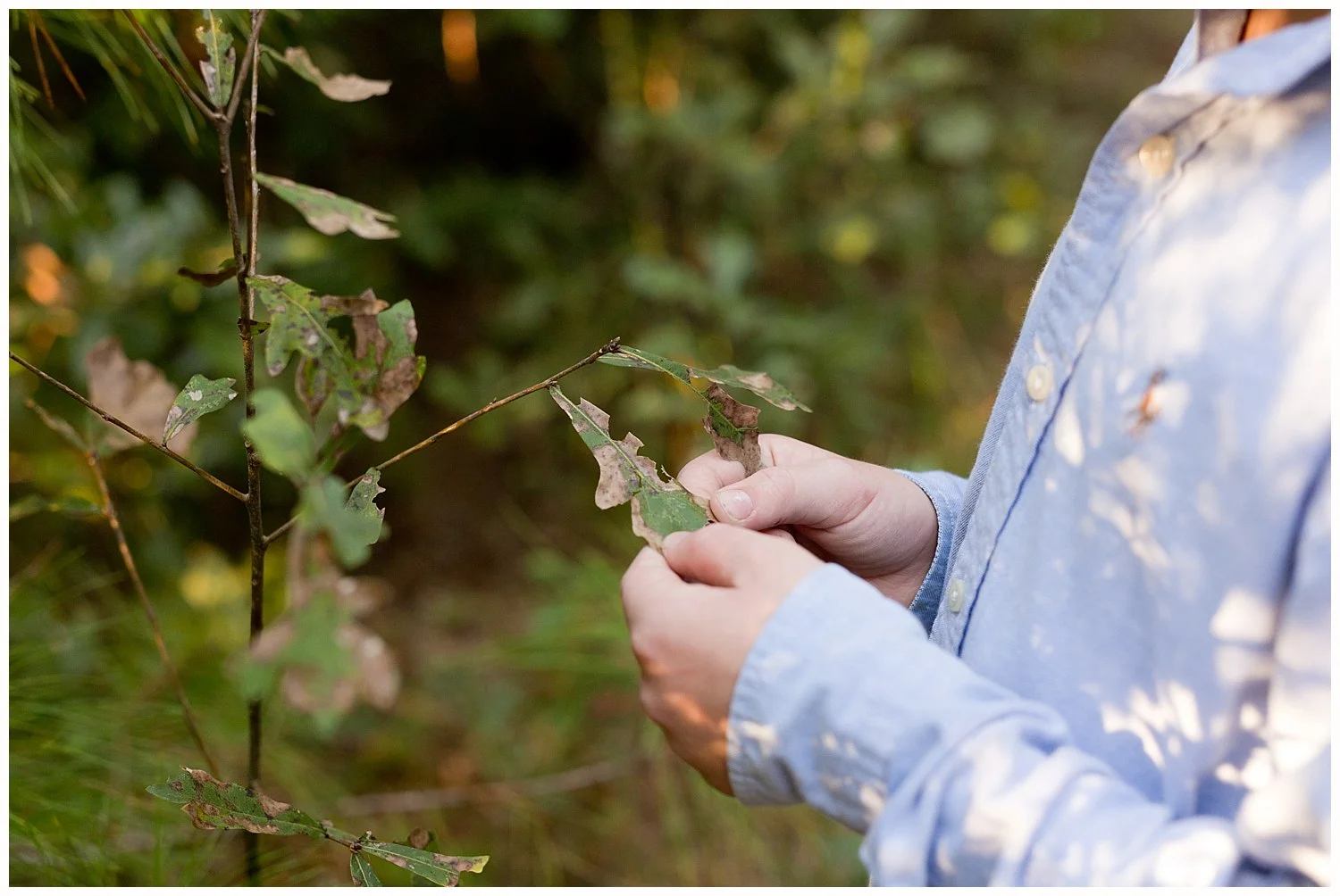 close-up photo of boy examining leaves in the woods