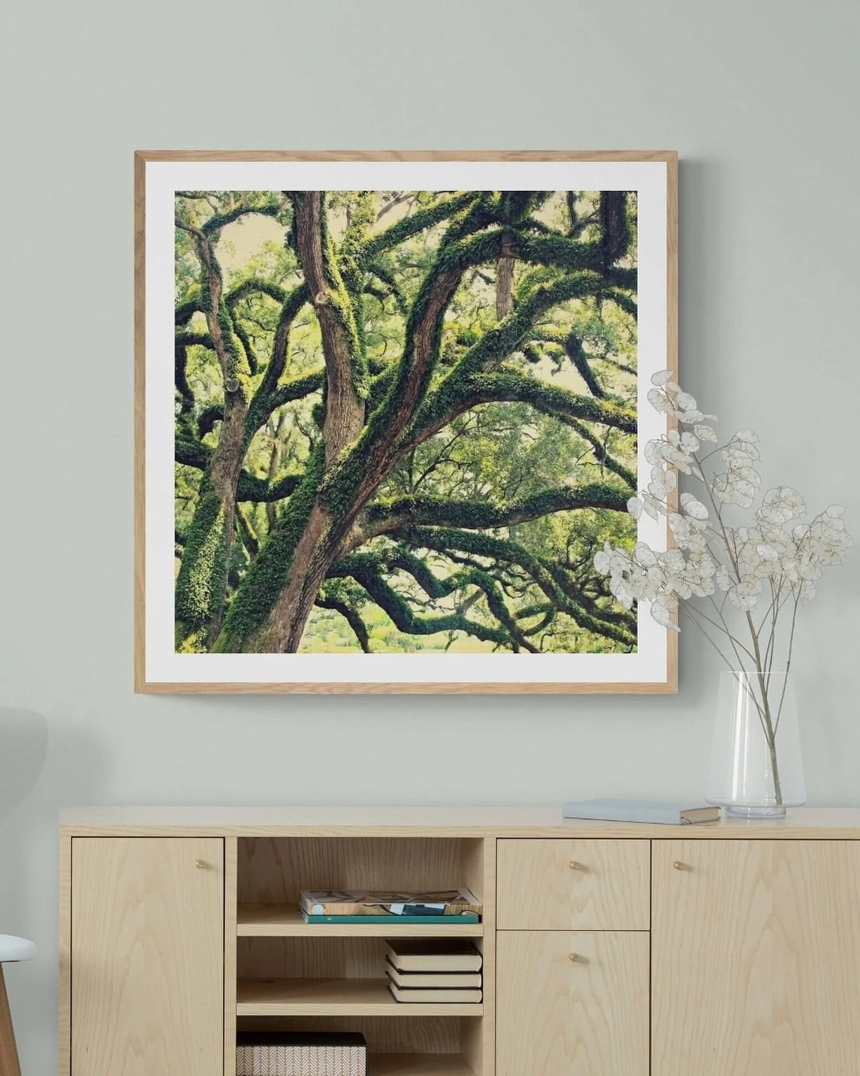 This live oak print is hanging somewhere NEW, and I can&rsquo;t wait to show you. 😁

Any guesses??

Hint: If you aren&rsquo;t following @louismontagueproperties you may never know. 😉

#uninventedcolorsetsy