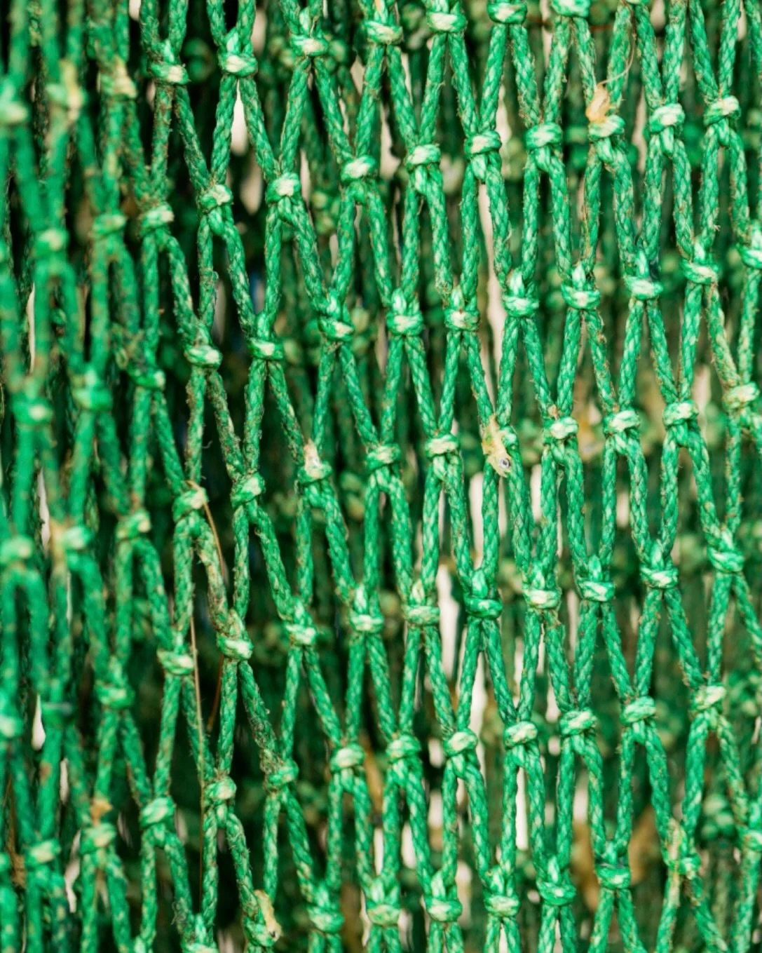 Just some Ocean Springs greens for your St. Patrick&rsquo;s Day. 💚☘️

(All available as prints in the #uninventedcolorsetsy shop 📸)

#iloveos #shopsmall #ihavethisthingwithgreen