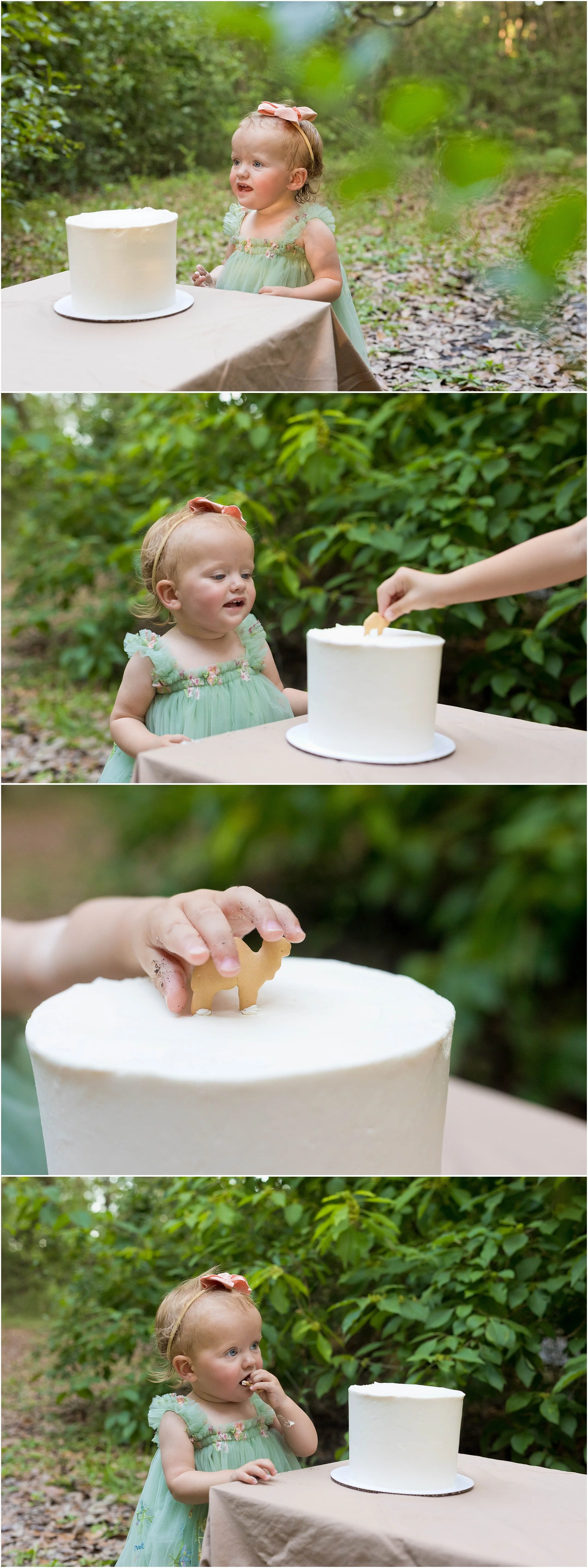 one year old cake smash outdoors