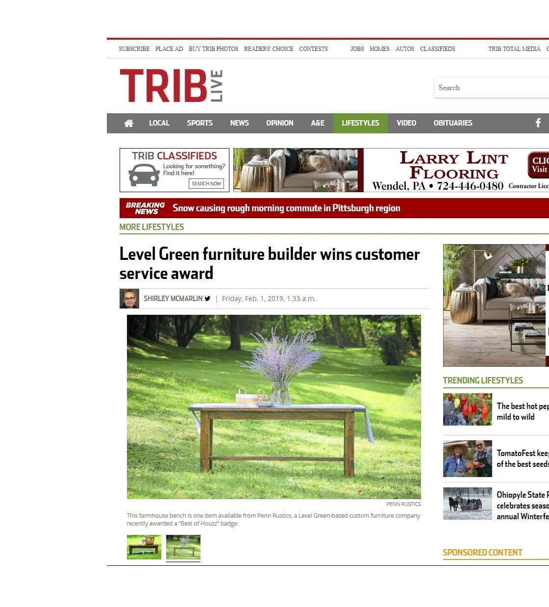Tribune Review Newspaper Home Section Article