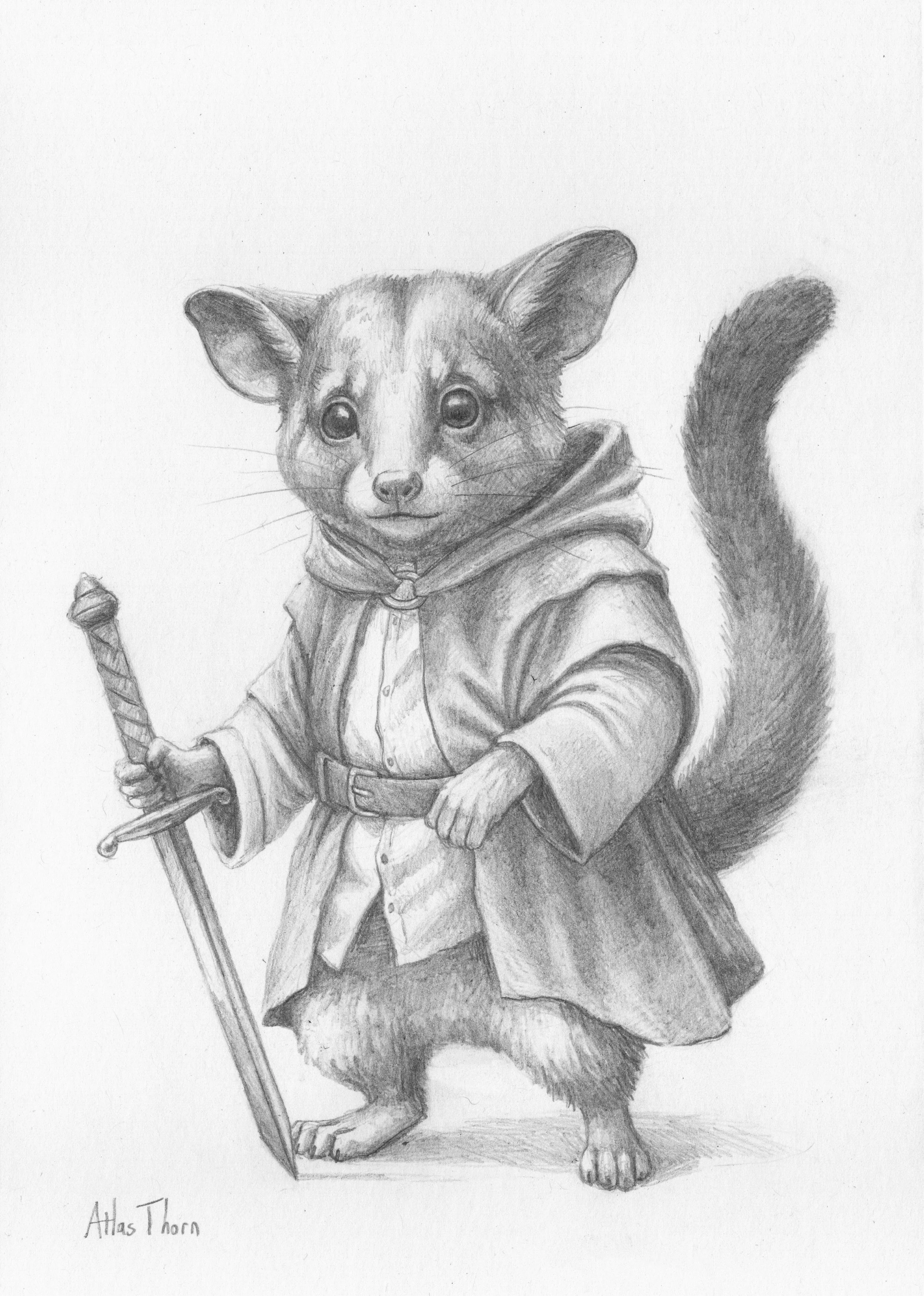 Possum_Ranger_Bright+Clean.jpg