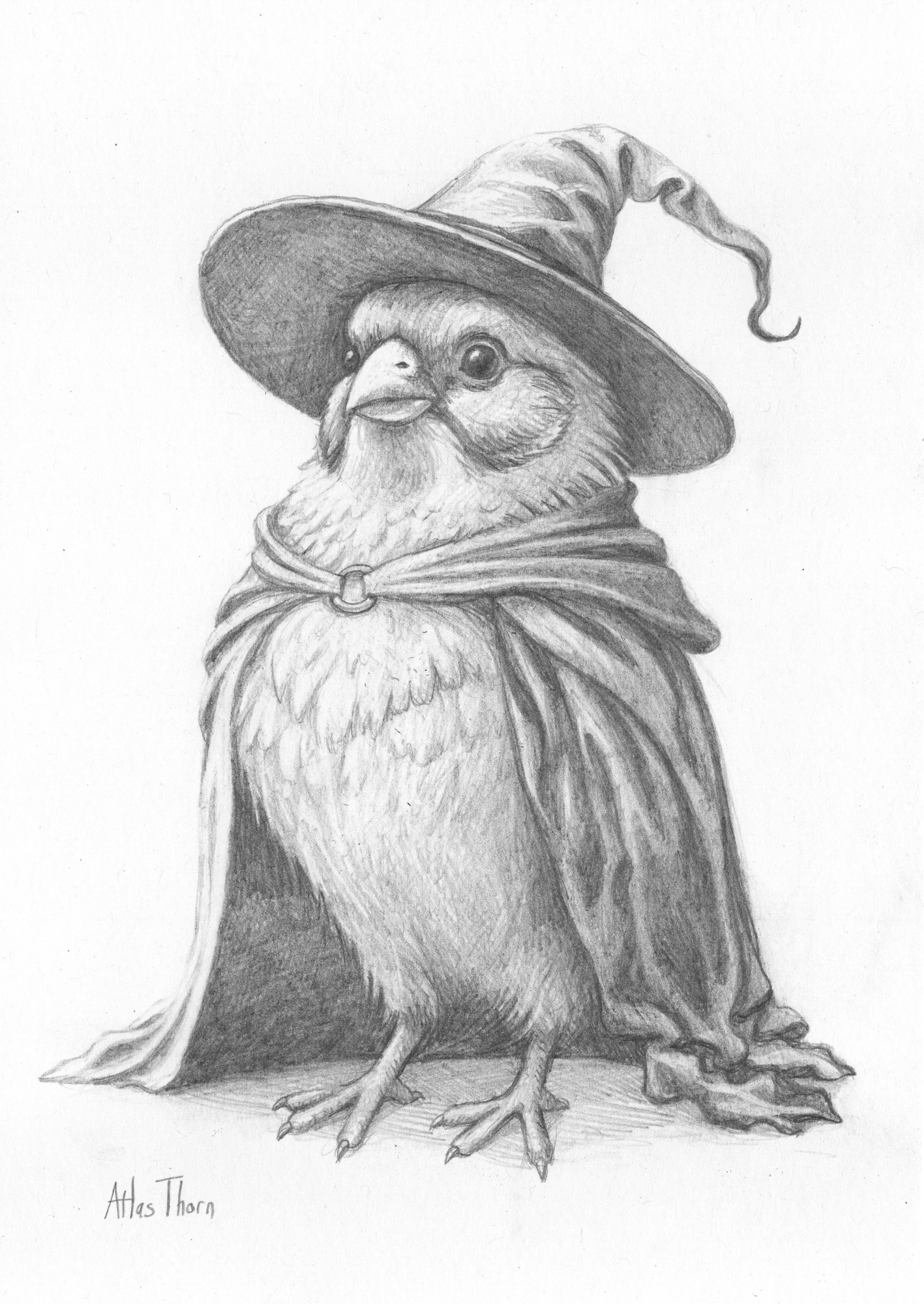 Finch_Witch_Bright+Clean.jpg