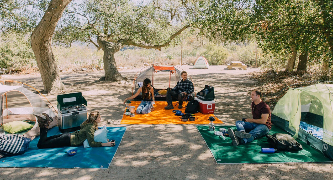 Cgear Scribble Scrawl