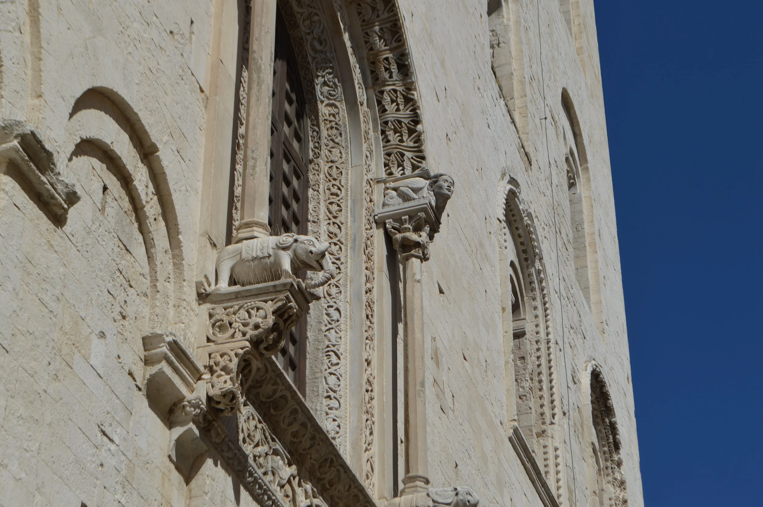 Bari elephant.jpg