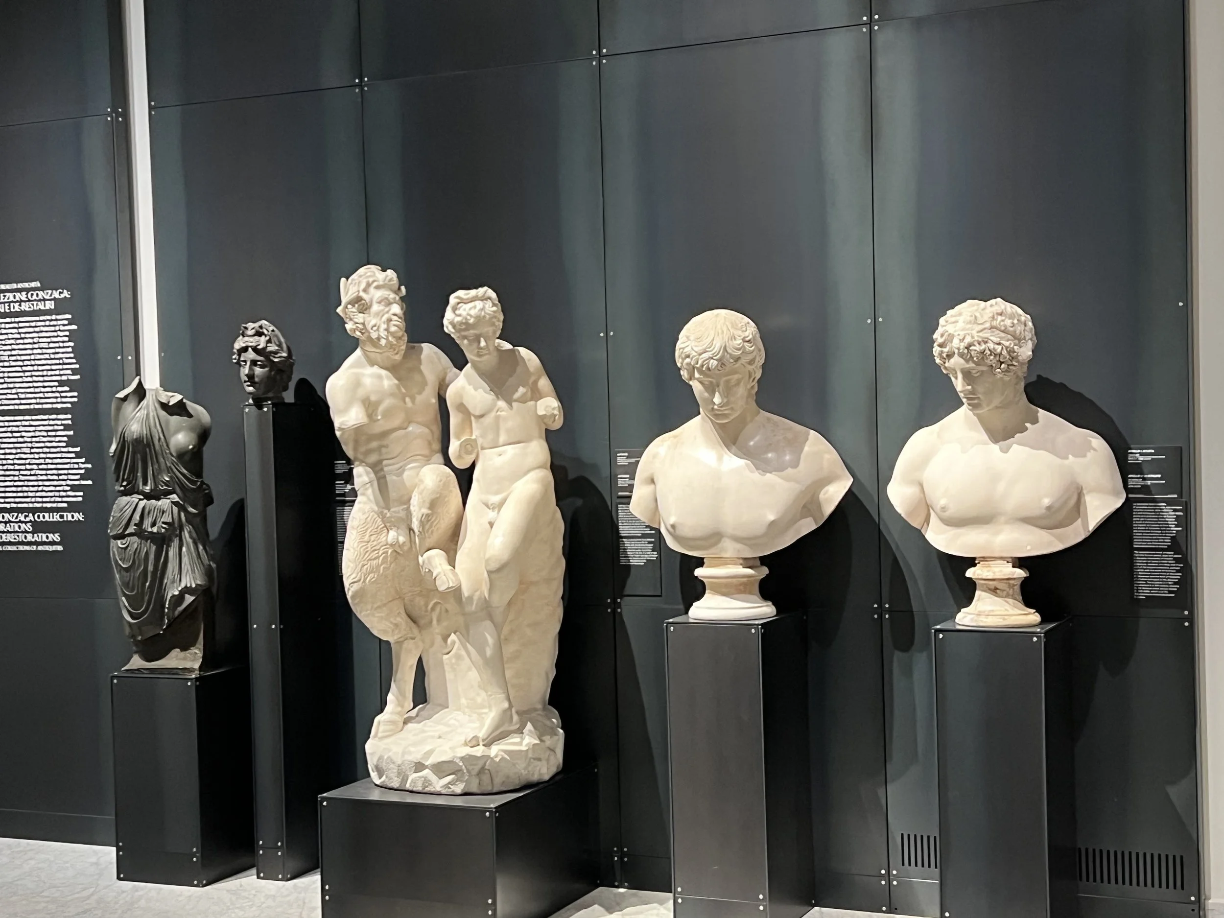 banner choice 1IMG_8236.jpeg