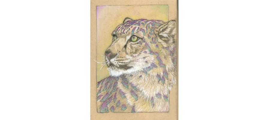 leopard.jpg